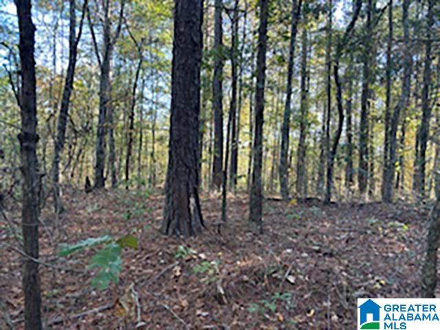 Homes for sale in Woodland, AL | 0 County Road 624, Woodland, AL 36280 | MLS# 21435213