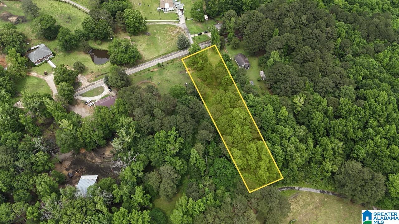 Homes for sale in Mccalla, AL | 7317 Lowetown Road, Mccalla, AL 35111 | MLS# 21435281