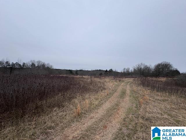 Homes for sale in Ashland, AL | 68 Gentry Dr, Ashland, AL 36251 | MLS# 21435319