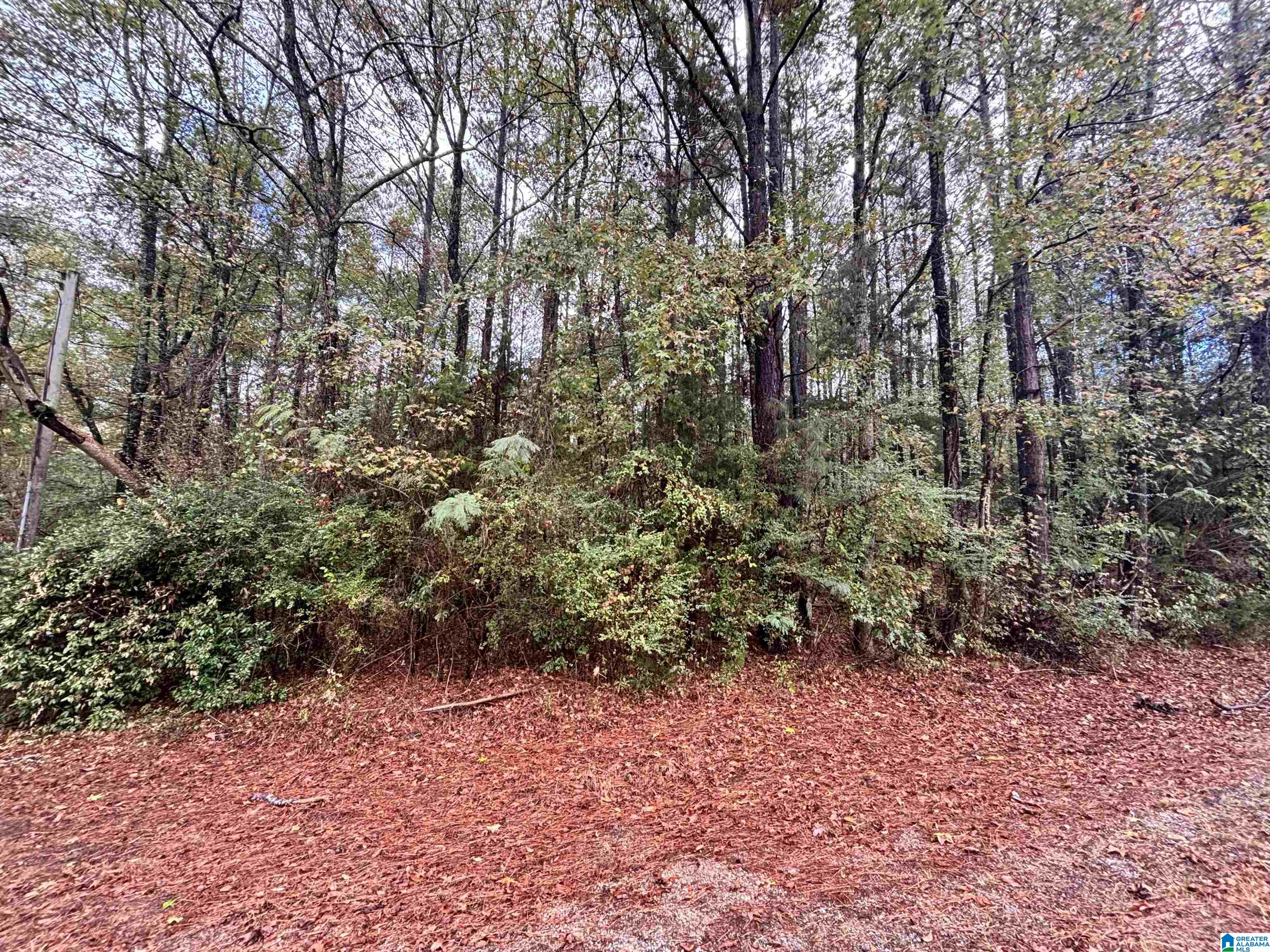 Homes for sale in Columbiana, AL | 275 Jonesboro Circle, Columbiana, AL 35051 | MLS# 21435417