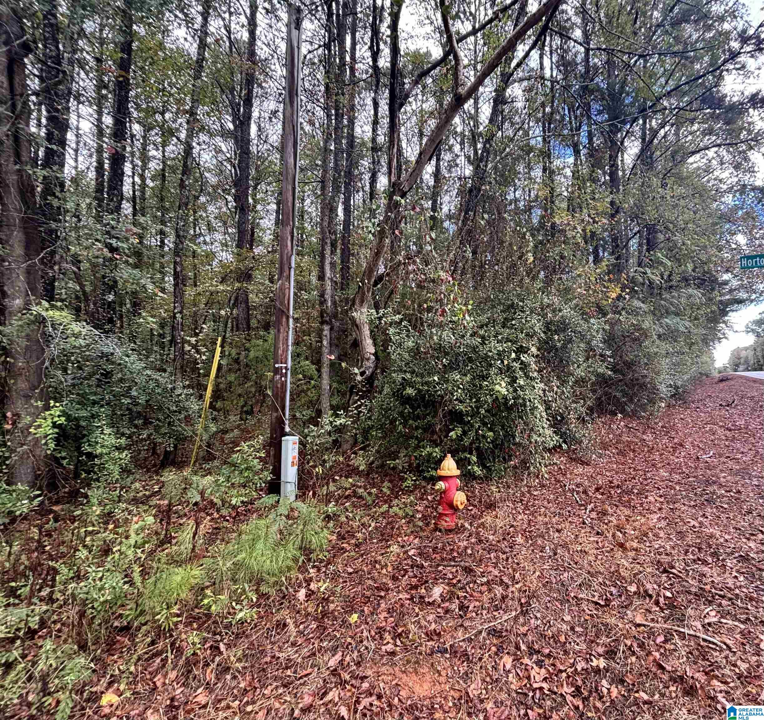 Homes for sale in Columbiana, AL | 275 Jonesboro Circle, Columbiana, AL 35051 | MLS# 21435417