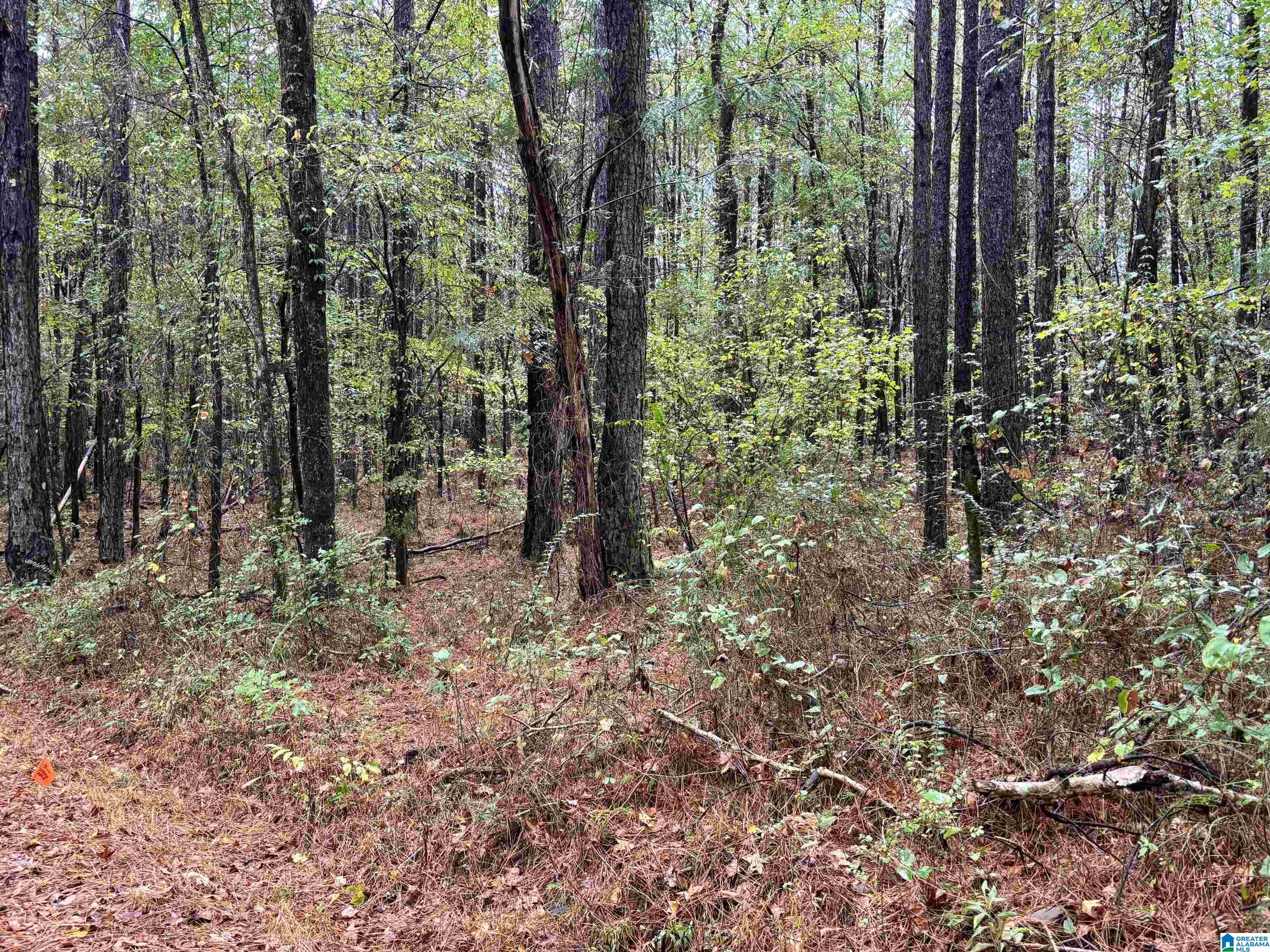 Homes for sale in Columbiana, AL | 275 Jonesboro Circle, Columbiana, AL 35051 | MLS# 21435417