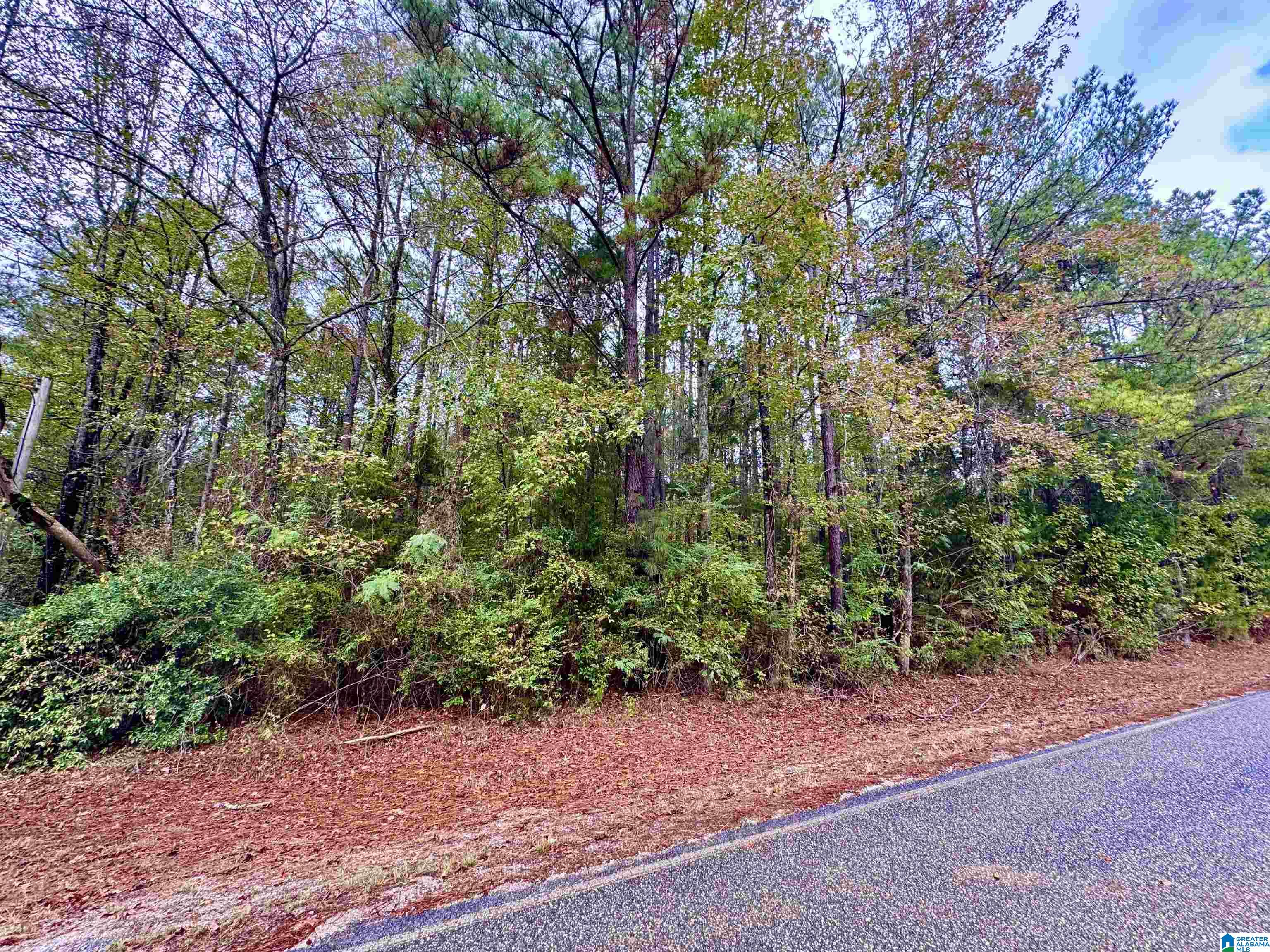 Homes for sale in Columbiana, AL | 275 Jonesboro Circle, Columbiana, AL 35051 | MLS# 21435417