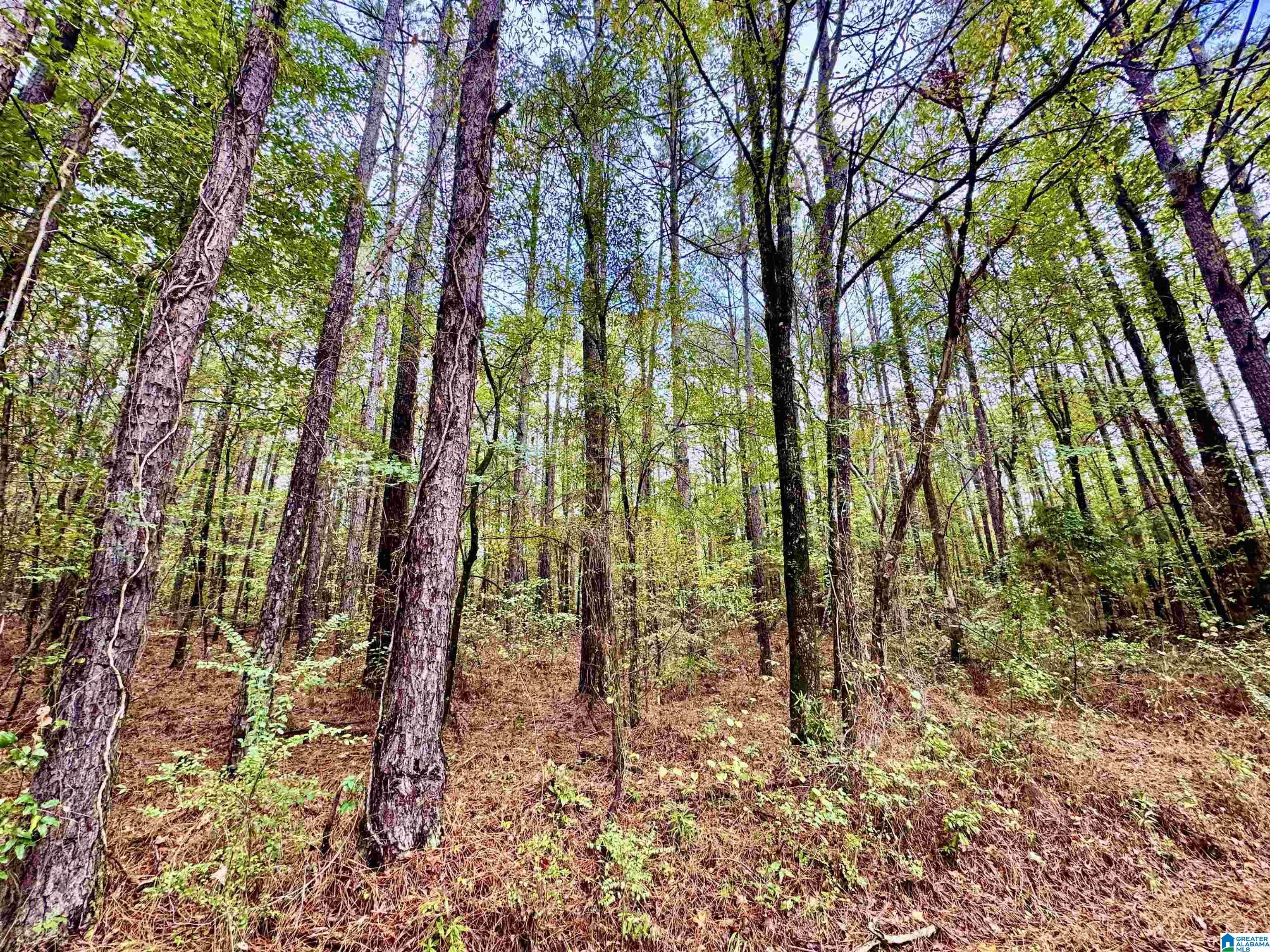 Homes for sale in Columbiana, AL | 275 Jonesboro Circle, Columbiana, AL 35051 | MLS# 21435417