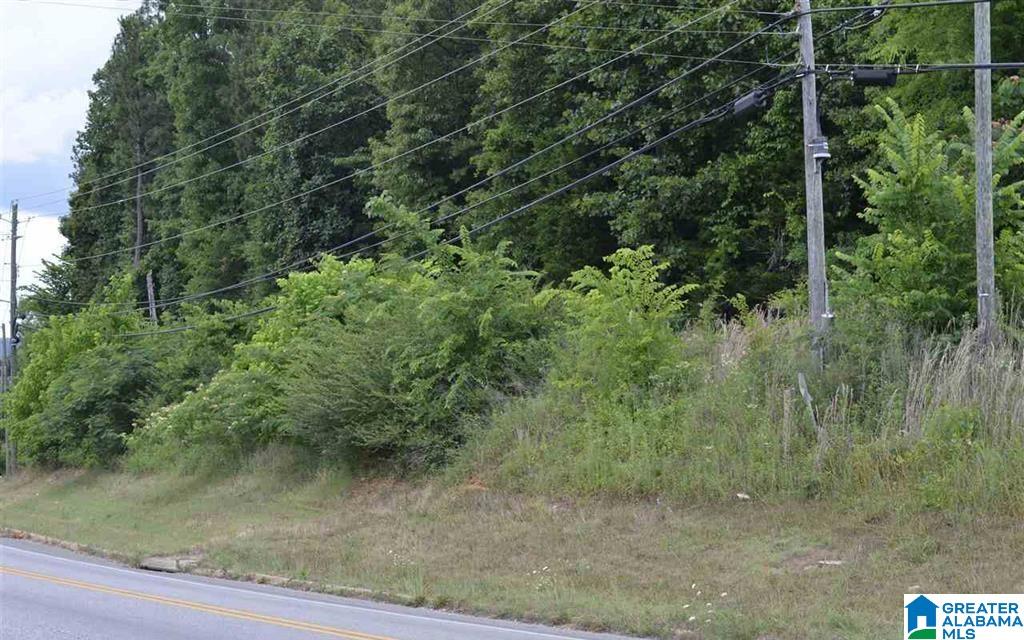 Homes for sale in Montevallo, AL | 8 Alabama Hwy 25, Montevallo, AL 35115 | MLS# 21435432