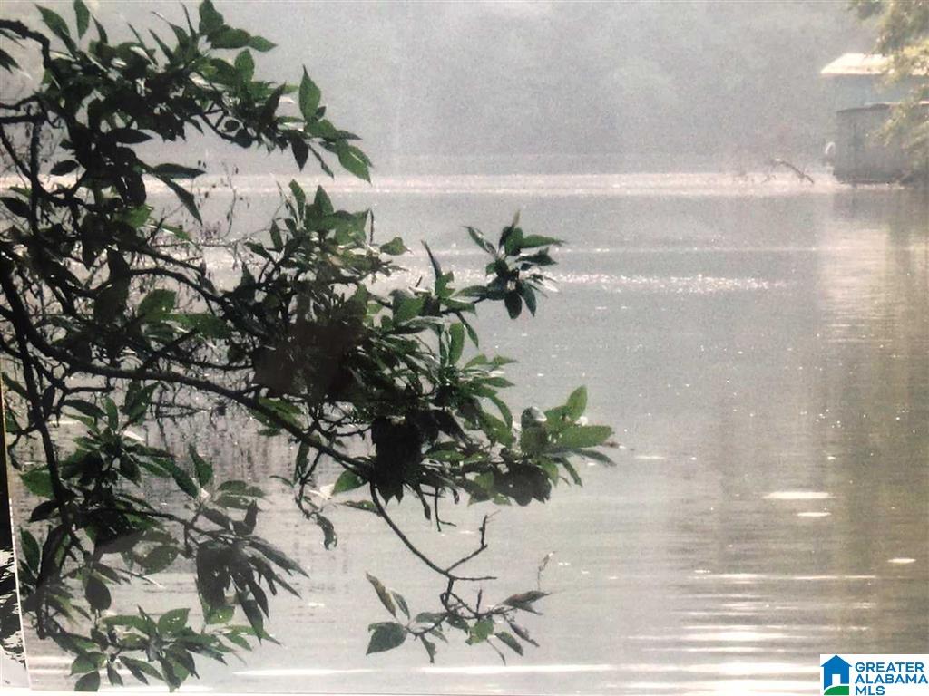 Homes for sale in Clanton, AL | 547 County Road 654, Clanton, AL 35046 | MLS# 21435529