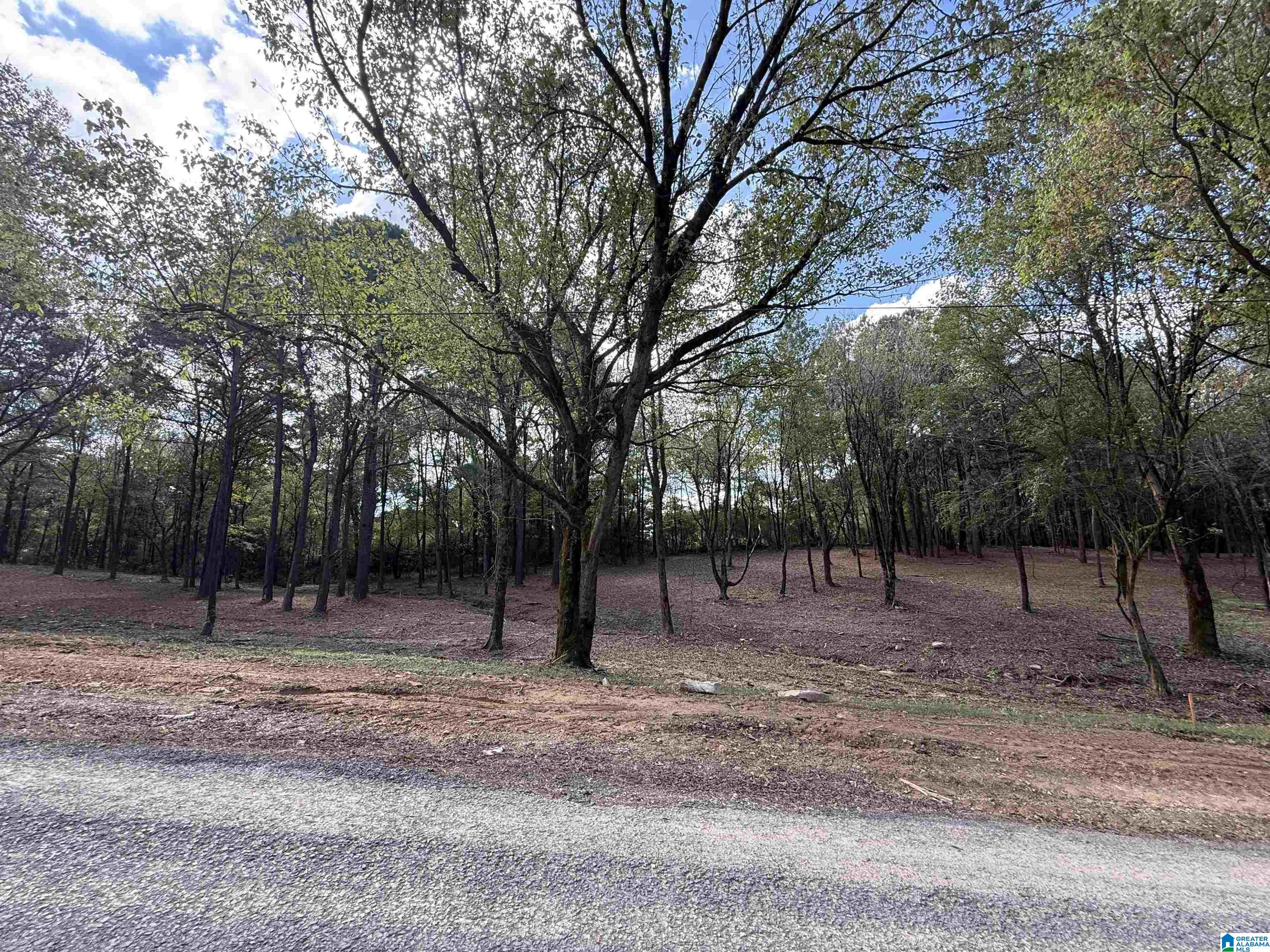1B COUNTY ROAD 1123