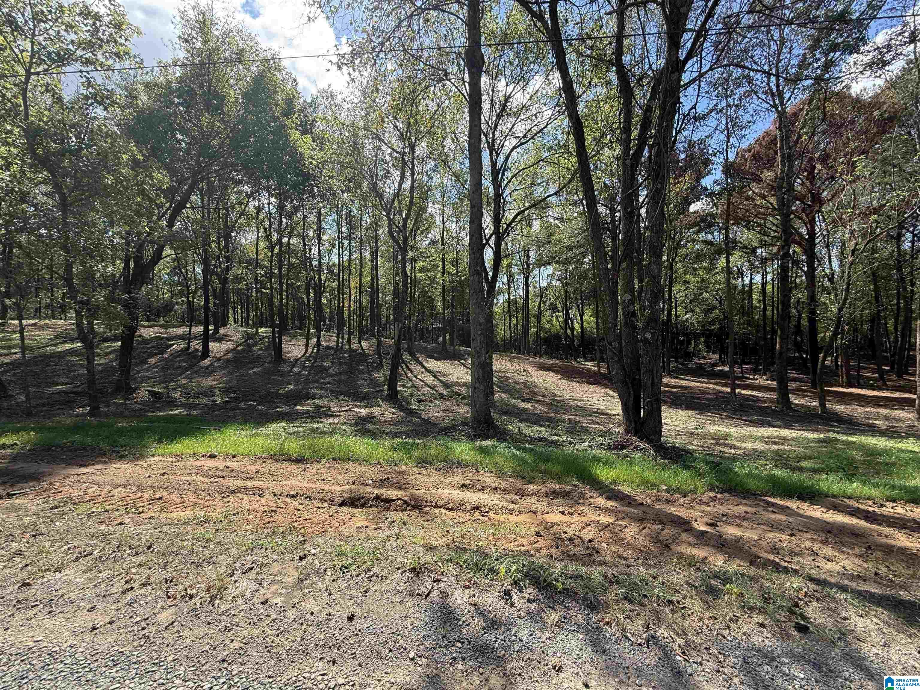 12A COUNTY ROAD 1123