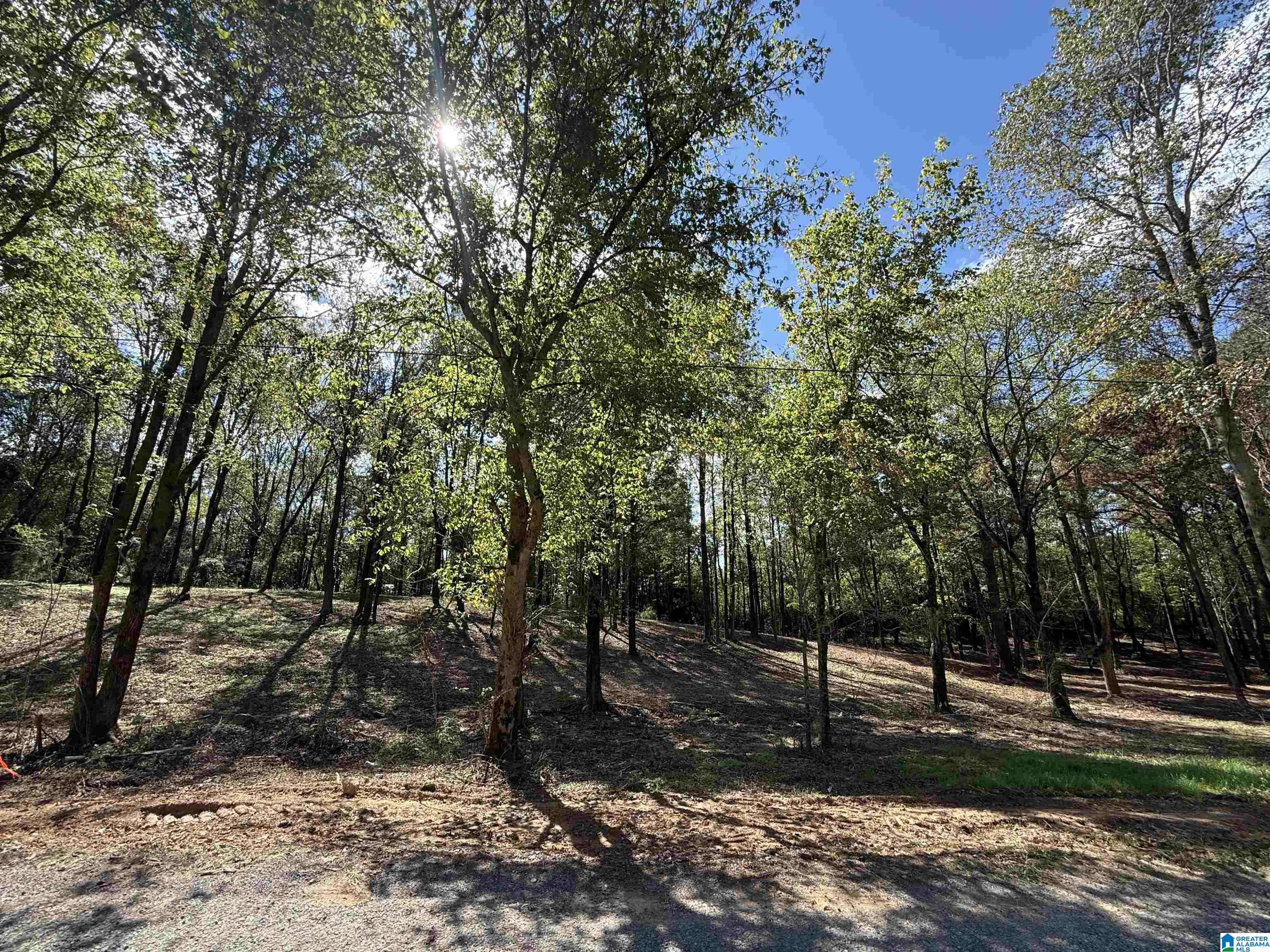 12B COUNTY ROAD 1123