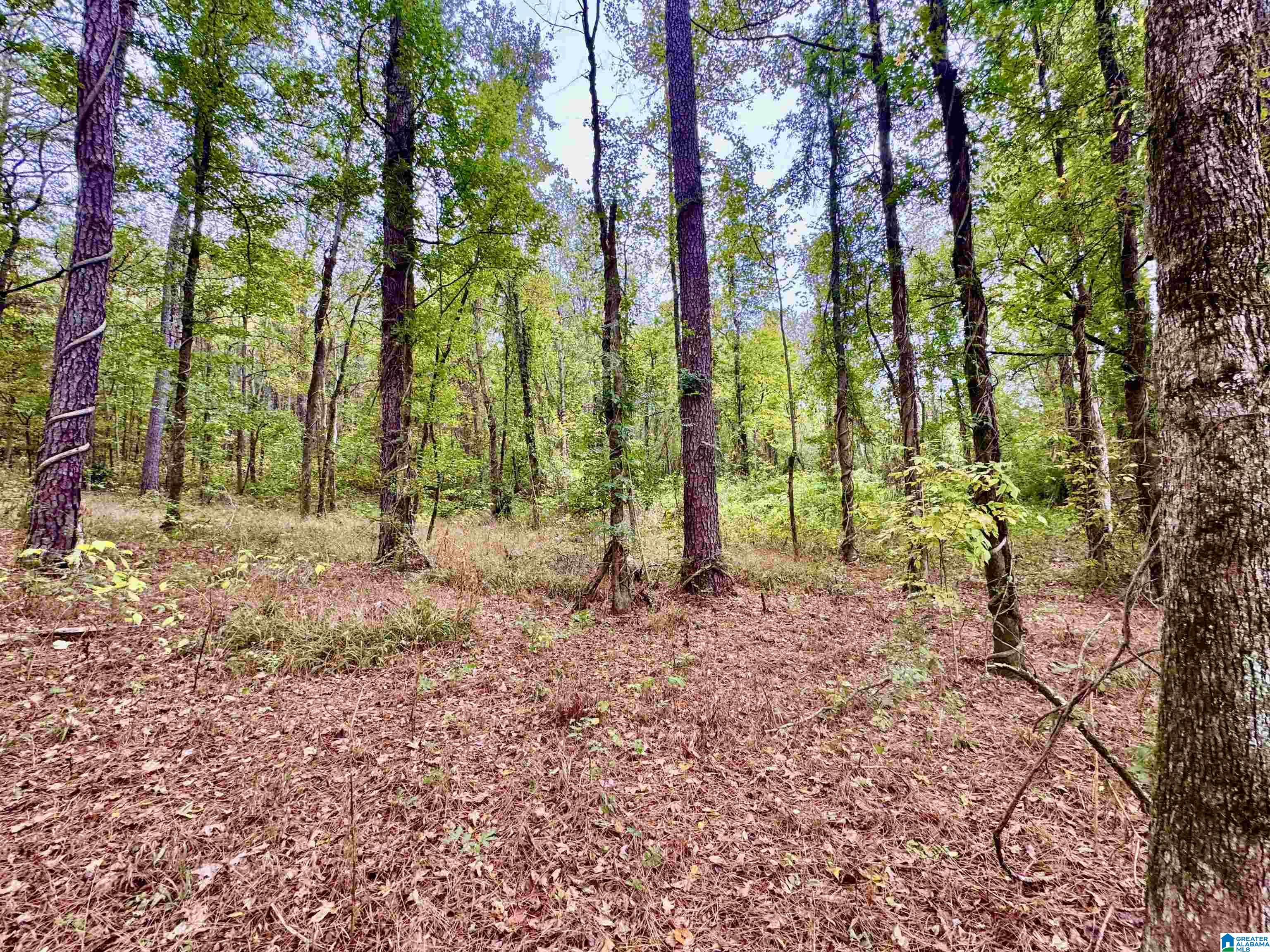 Homes for sale in Columbiana, AL | 0 Hwy 25, Columbiana, AL 35051 | MLS# 21435559