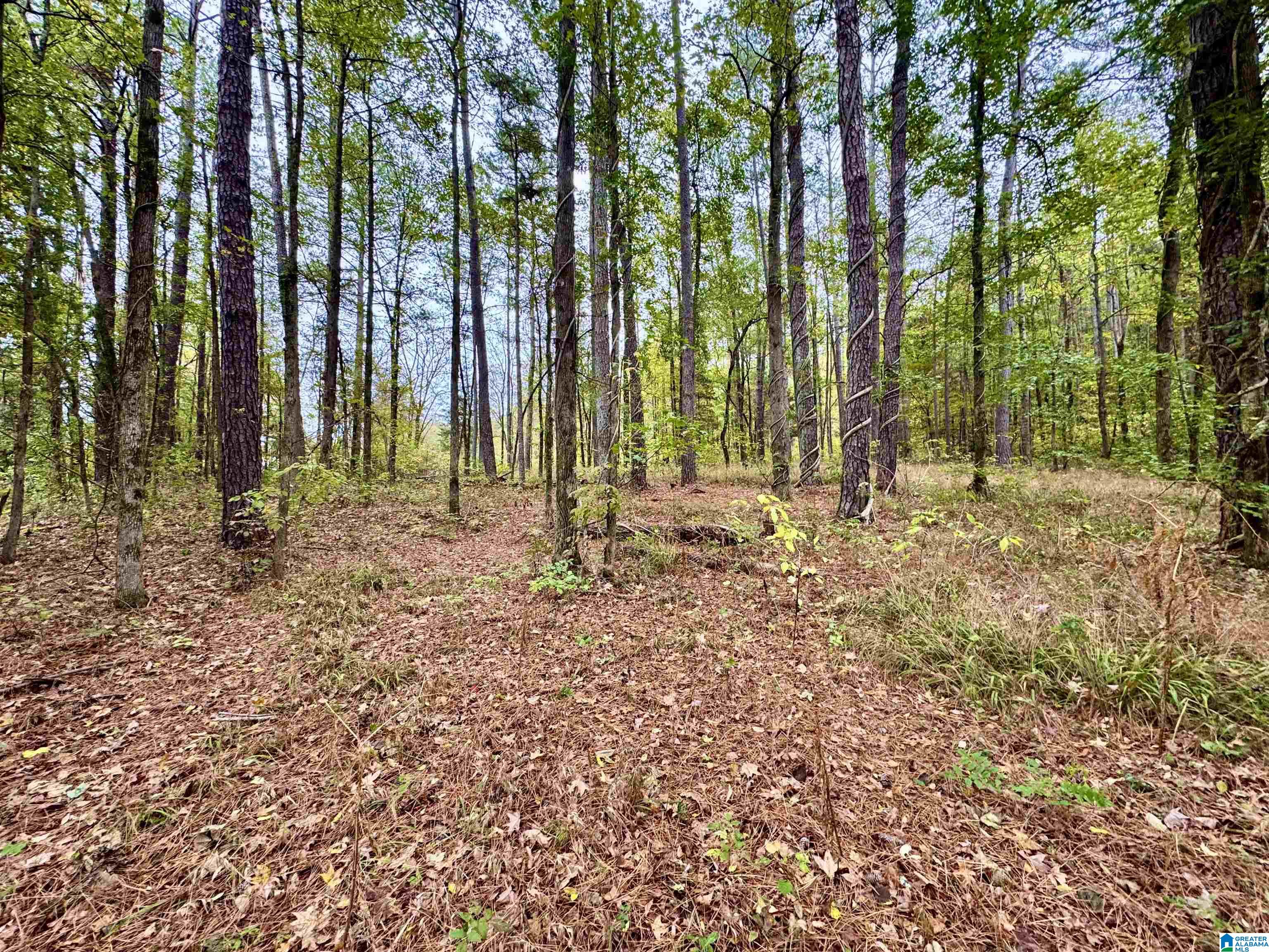 Homes for sale in Columbiana, AL | 0 Hwy 25, Columbiana, AL 35051 | MLS# 21435559