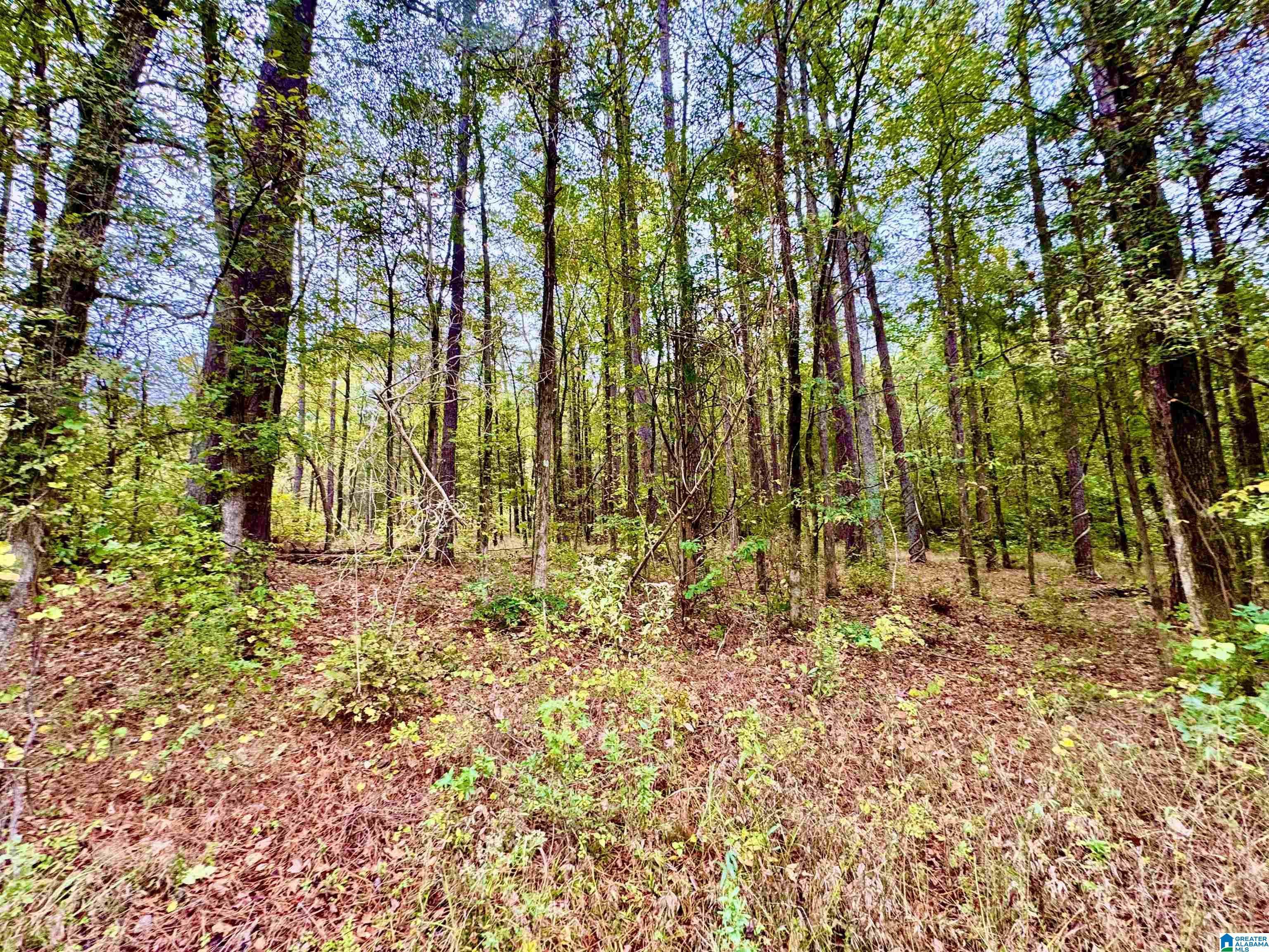 Homes for sale in Columbiana, AL | 0 Hwy 25, Columbiana, AL 35051 | MLS# 21435559