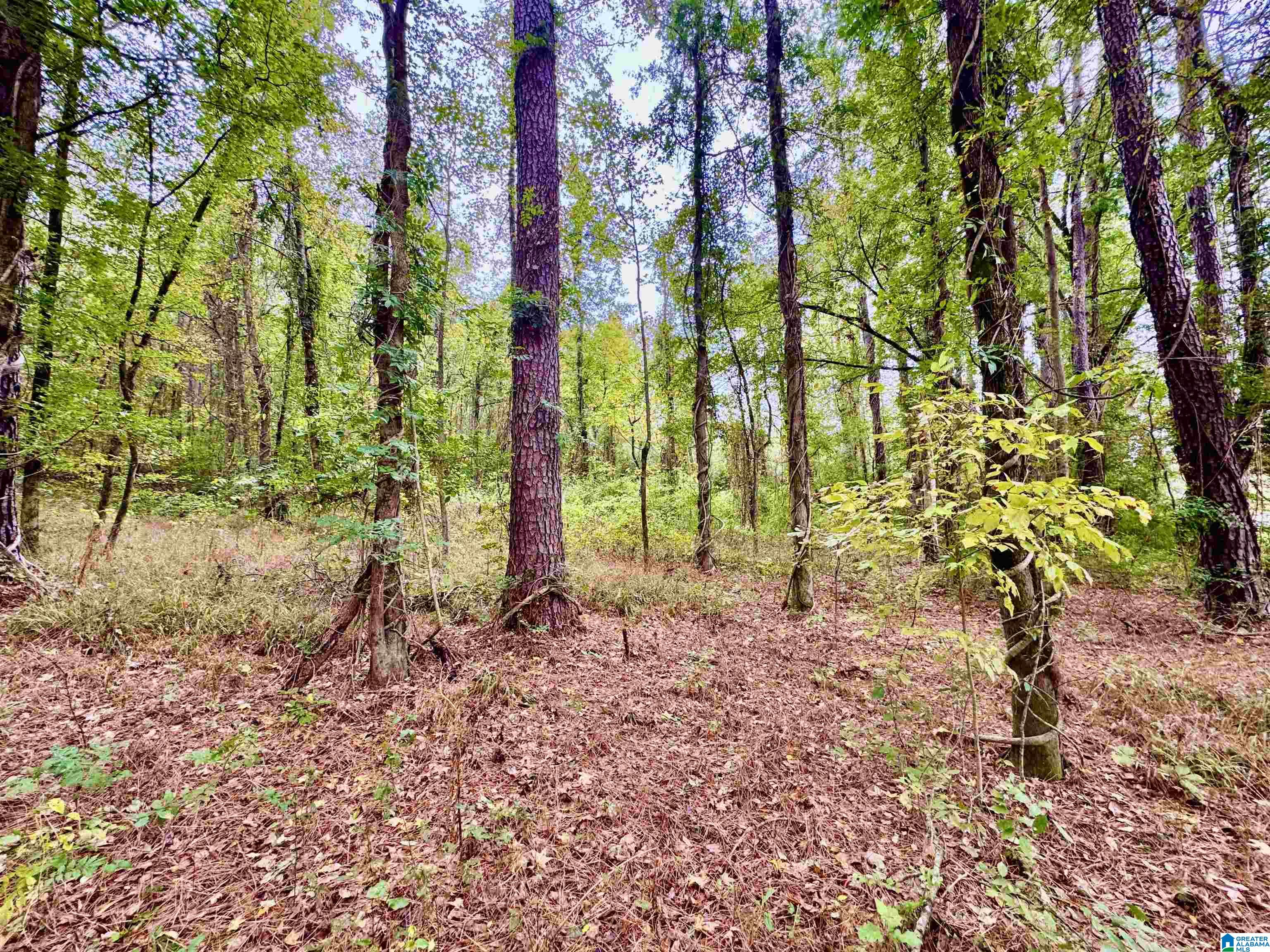 Homes for sale in Columbiana, AL | 0 Hwy 25, Columbiana, AL 35051 | MLS# 21435559