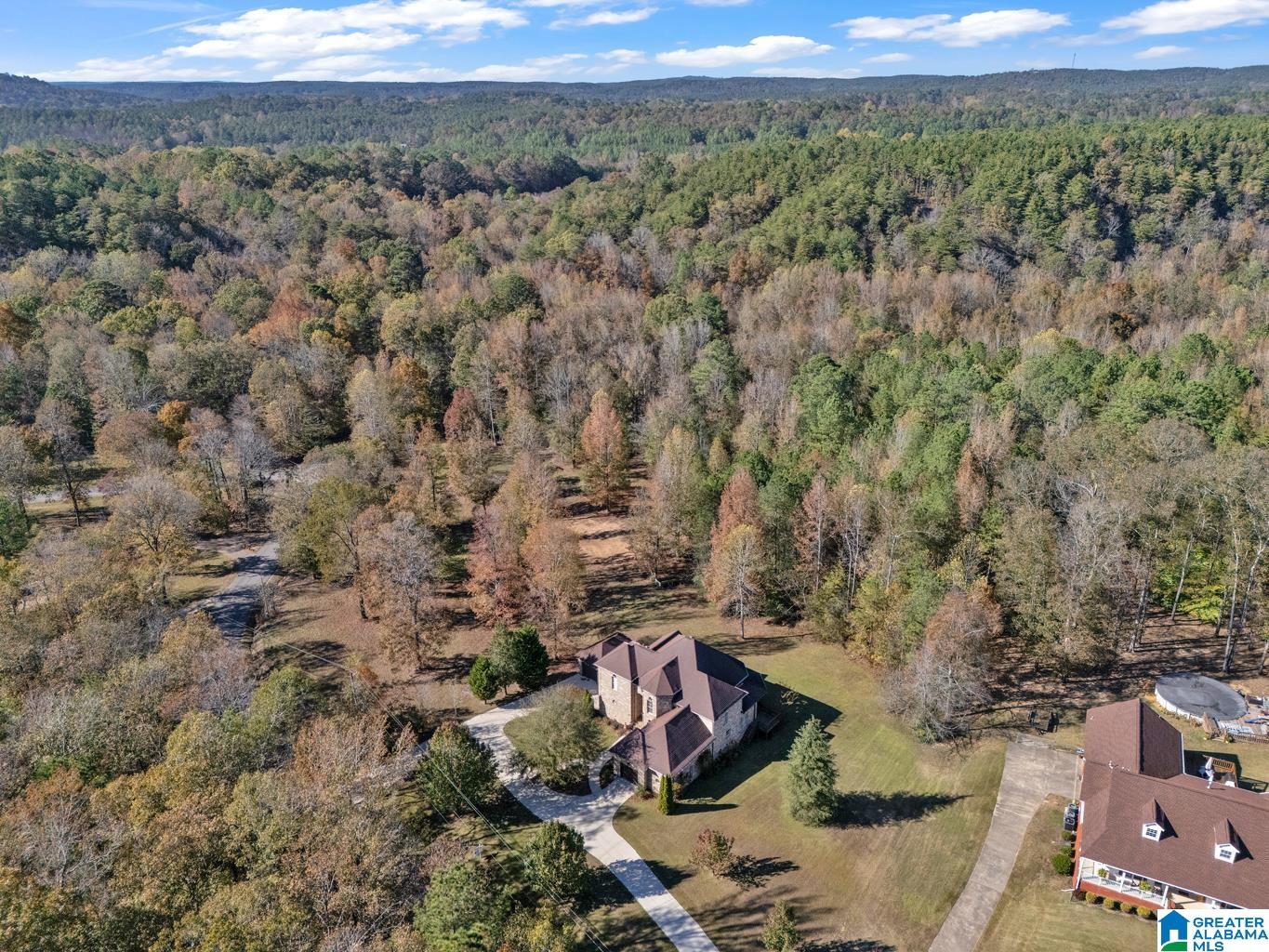 Homes for sale in Dora, AL | 1088 Sellers Road, Dora, AL 35062 | MLS# 21435644