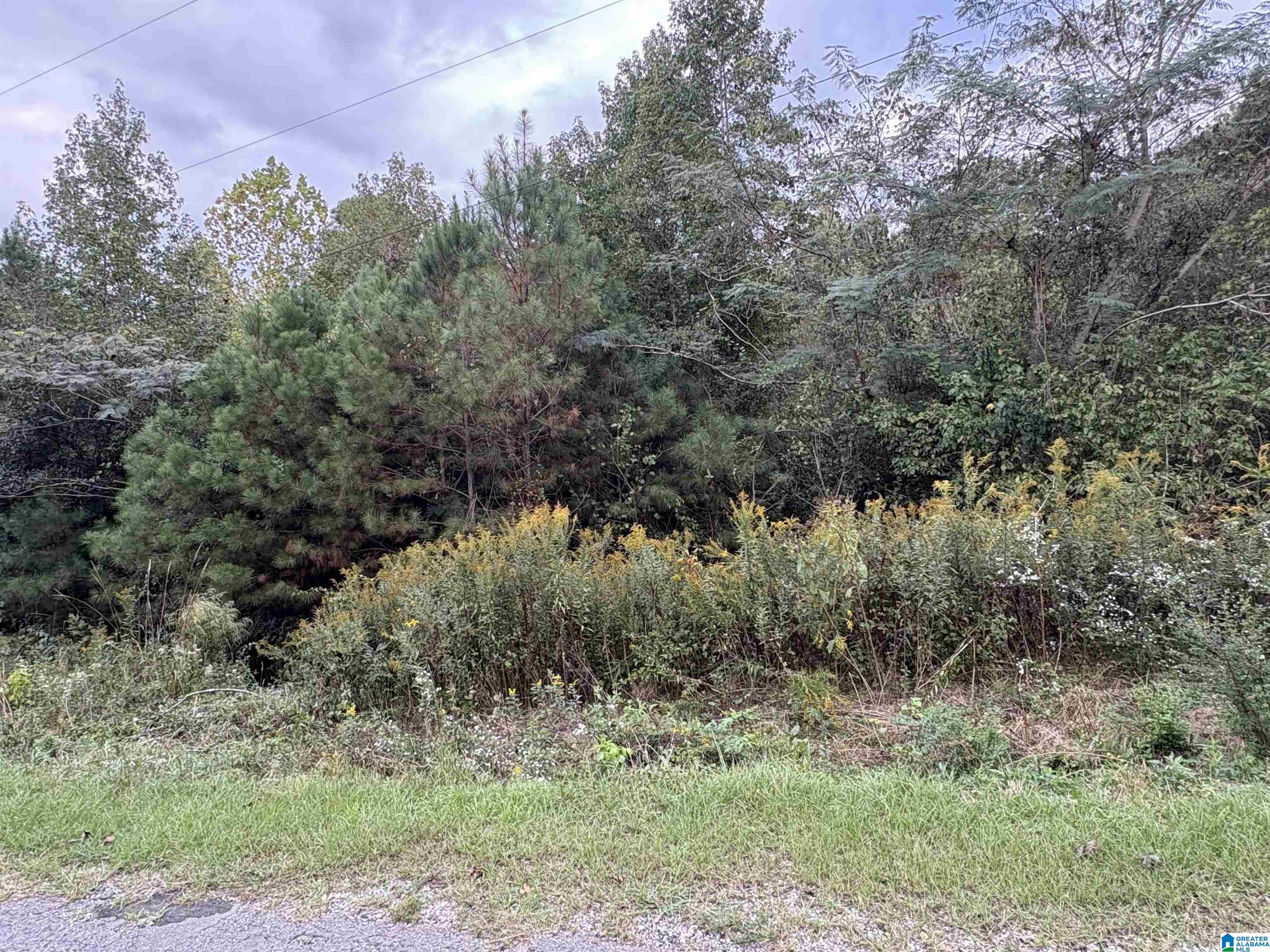 Homes for sale in Remlap, AL | 0 Lost Creek Circle, Remlap, AL 35133 | MLS# 21435683