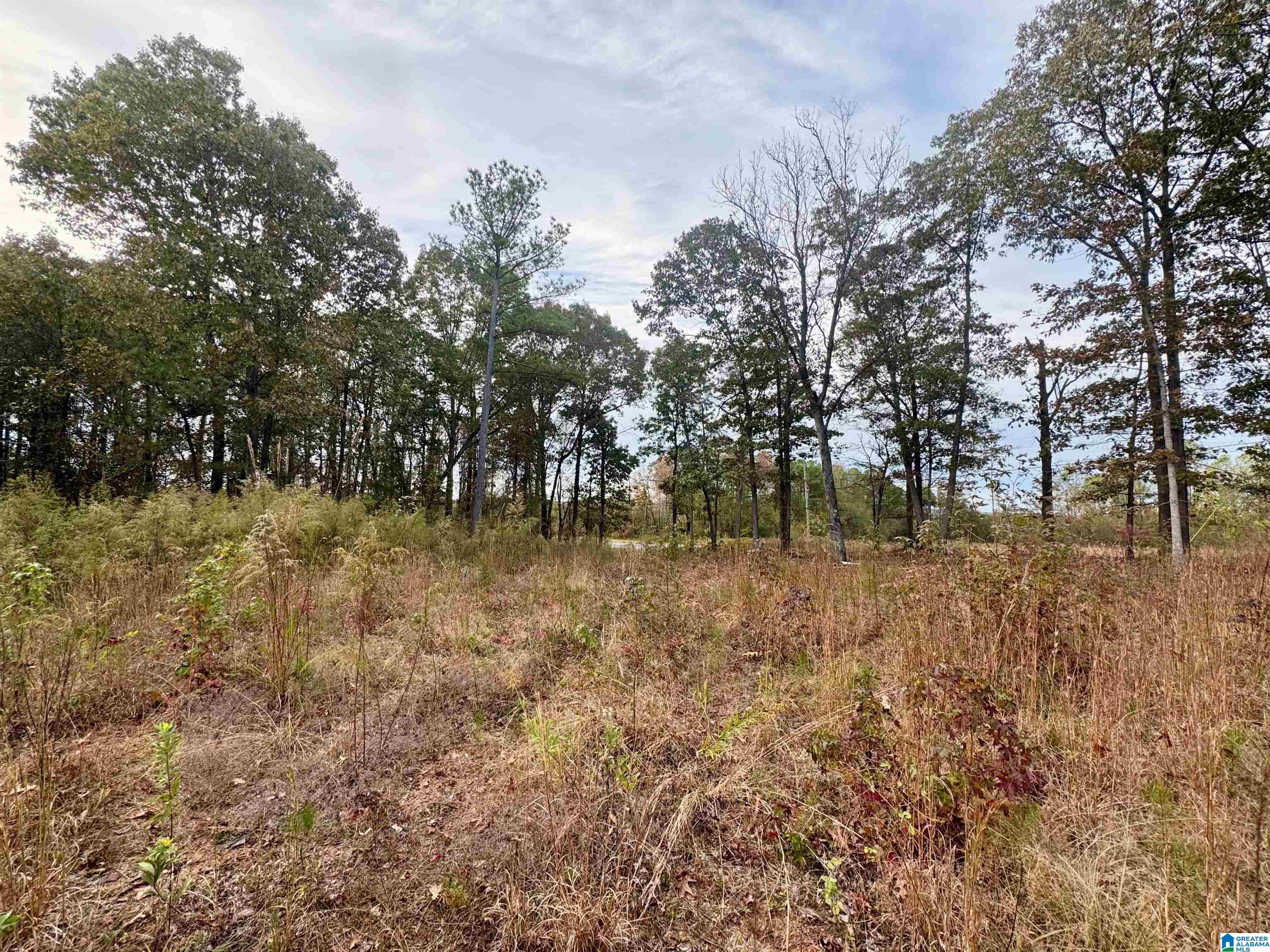 Homes for sale in Newell, AL | 0 County Road 82, Newell, AL 36280 | MLS# 21435753