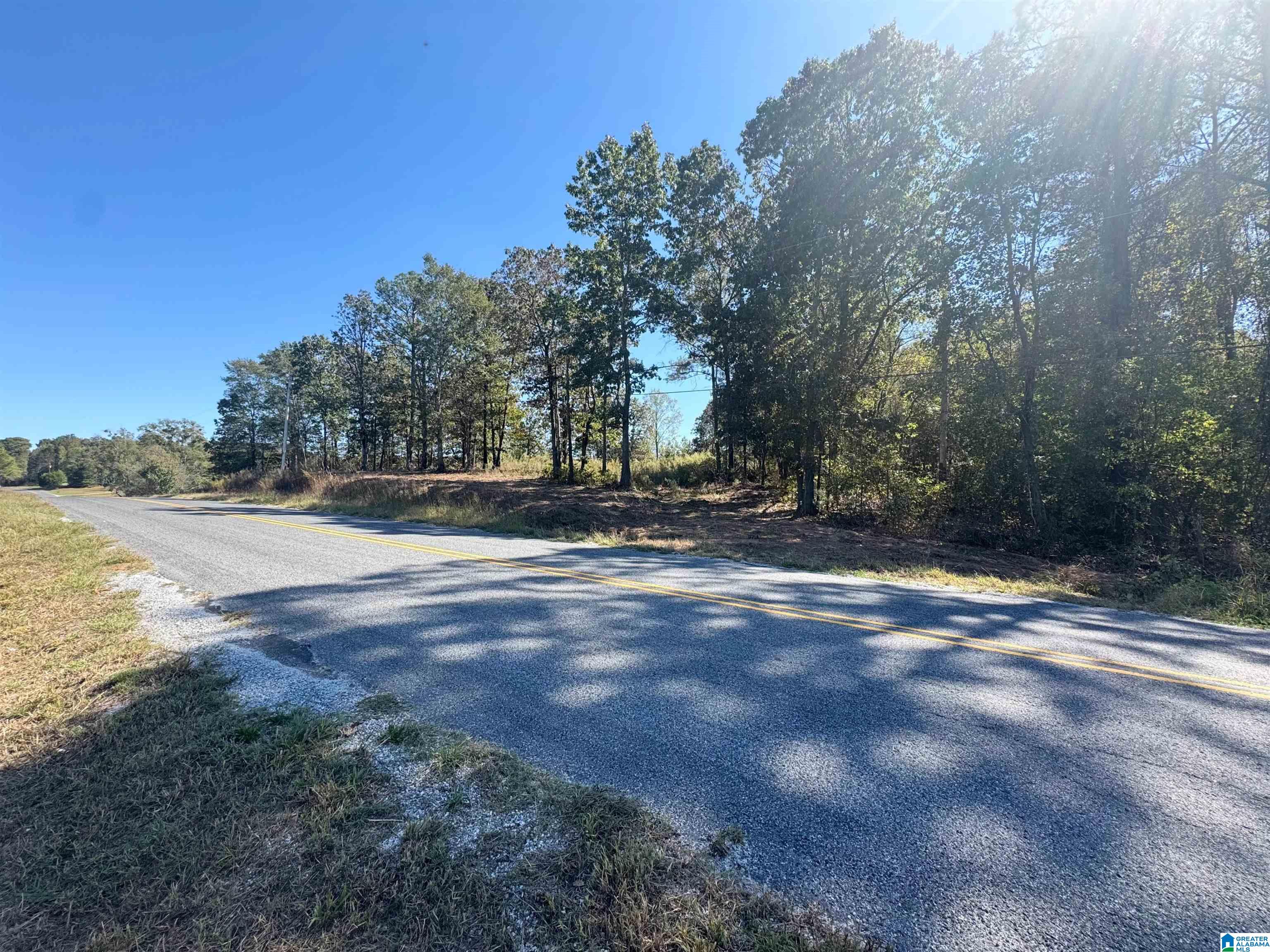 Homes for sale in Newell, AL | 0 County Road 82, Newell, AL 36280 | MLS# 21435753