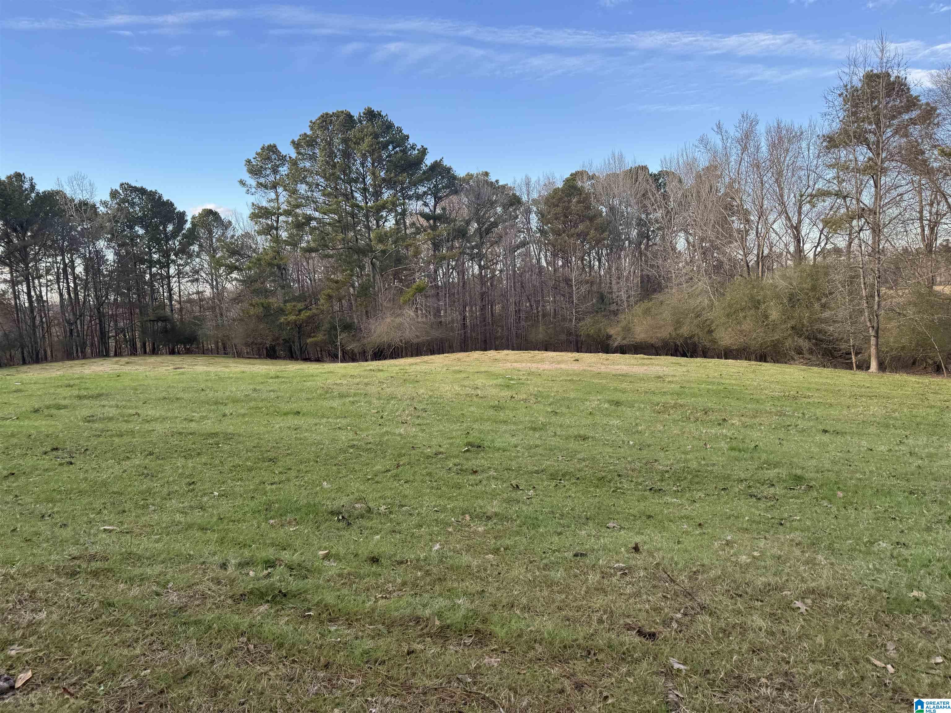 Homes for sale in Trafford, AL | 10450 Thermal Road, Trafford, AL 35172 | MLS# 21435799
