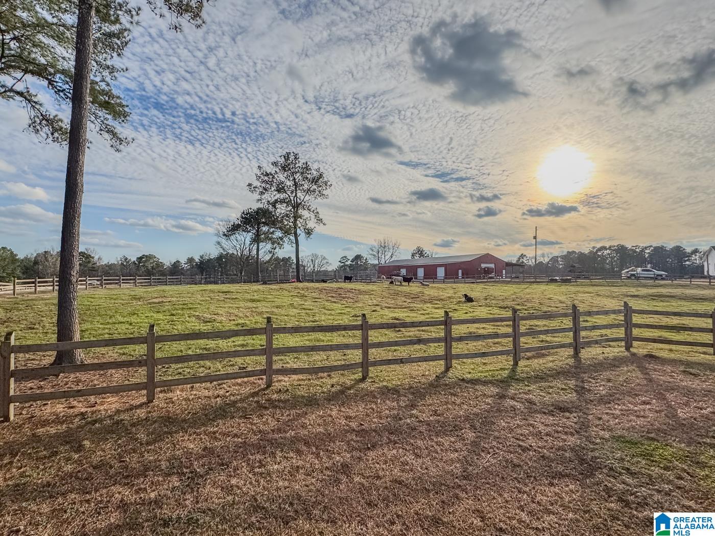 Homes for sale in Trafford, AL | 10450 Thermal Road, Trafford, AL 35172 | MLS# 21435799