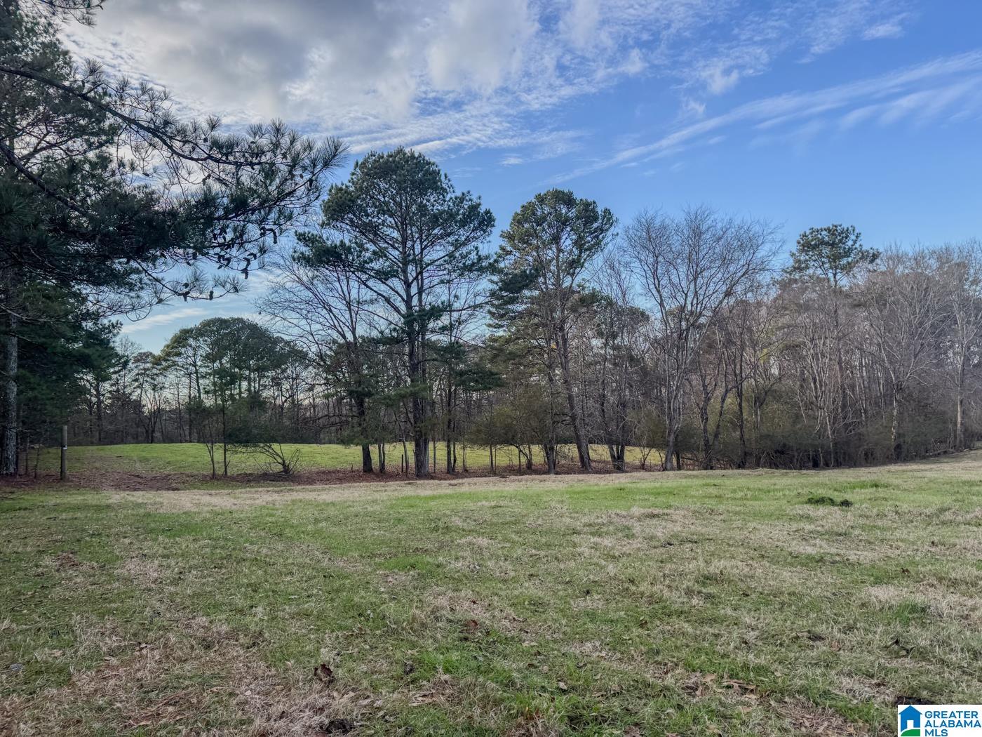 Homes for sale in Trafford, AL | 10450 Thermal Road, Trafford, AL 35172 | MLS# 21435799