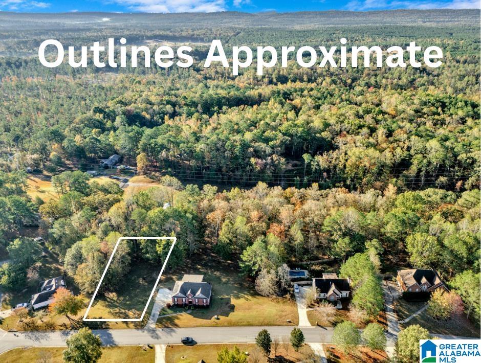 Homes for sale in Chelsea, AL | 305 Deer Ridge Lane, Chelsea, AL 35043 | MLS# 21435812