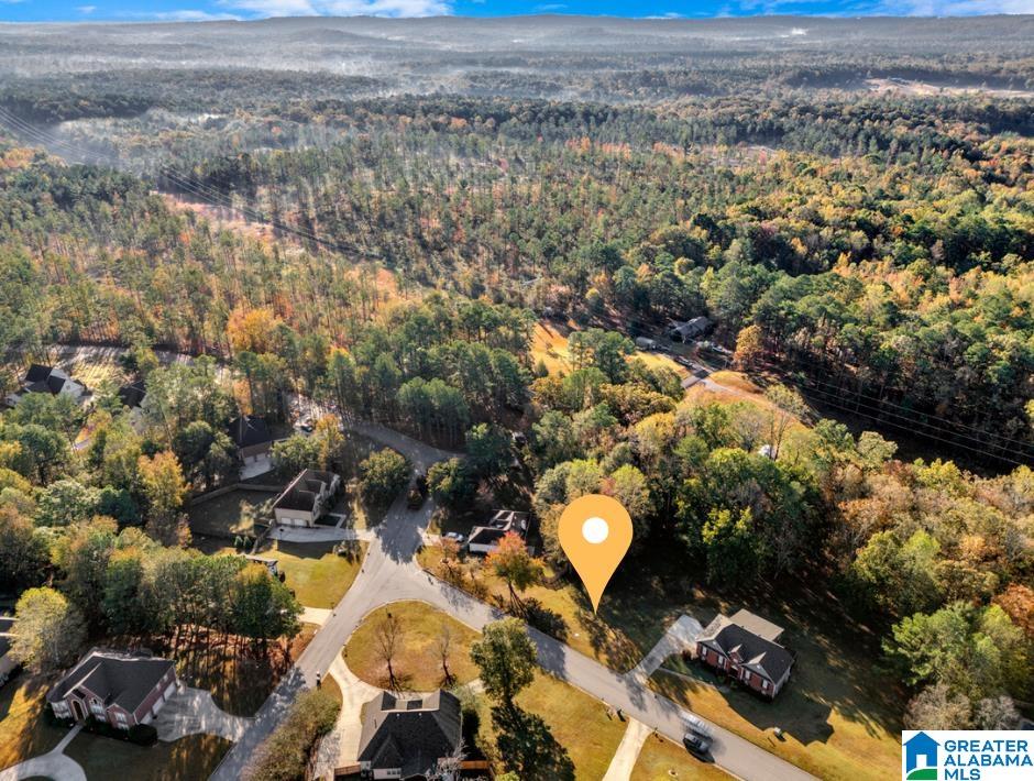 Homes for sale in Chelsea, AL | 305 Deer Ridge Lane, Chelsea, AL 35043 | MLS# 21435812