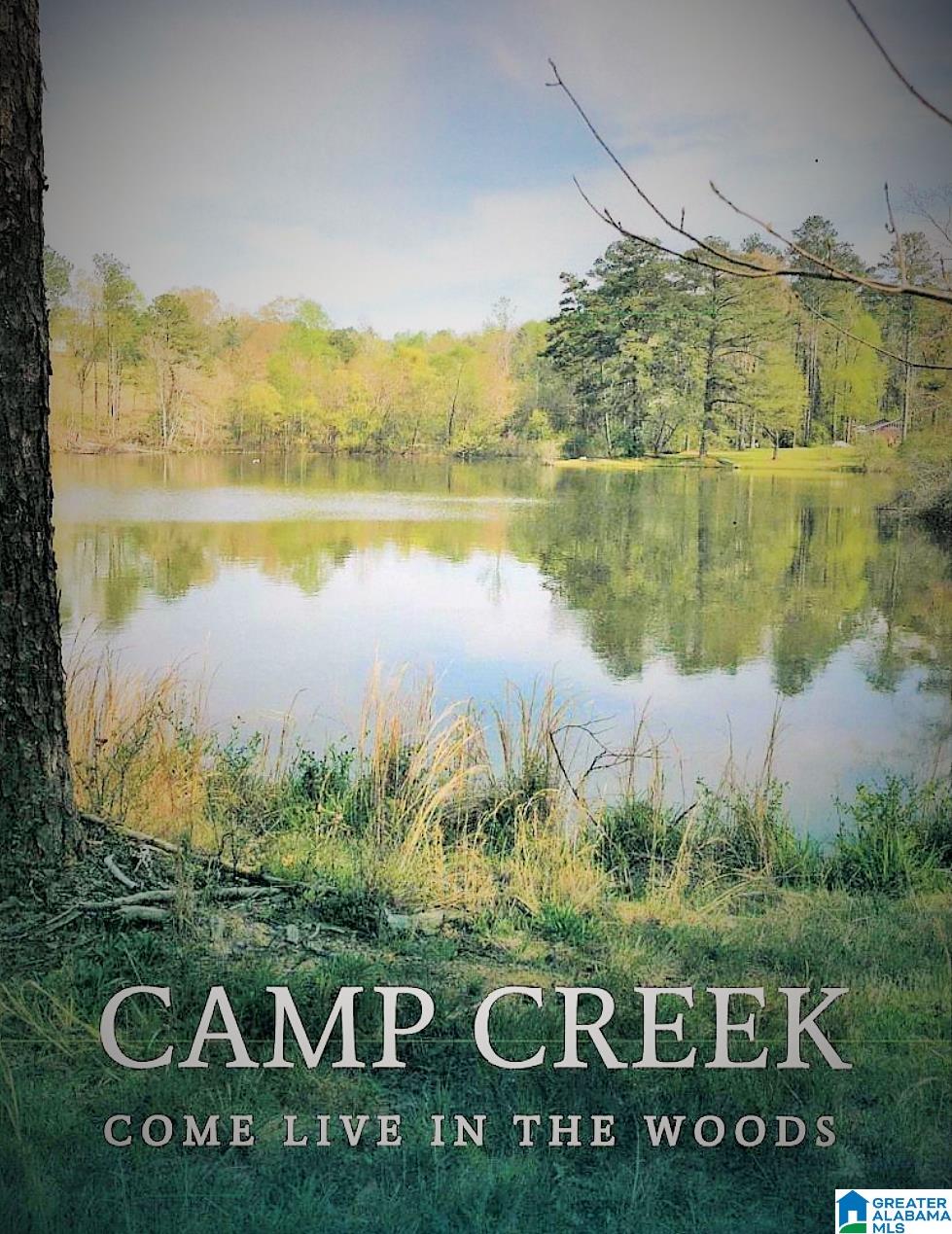 Homes for sale in Mccalla, AL | 4568 Cabin Road, Mccalla, AL 35022 | MLS# 21435845