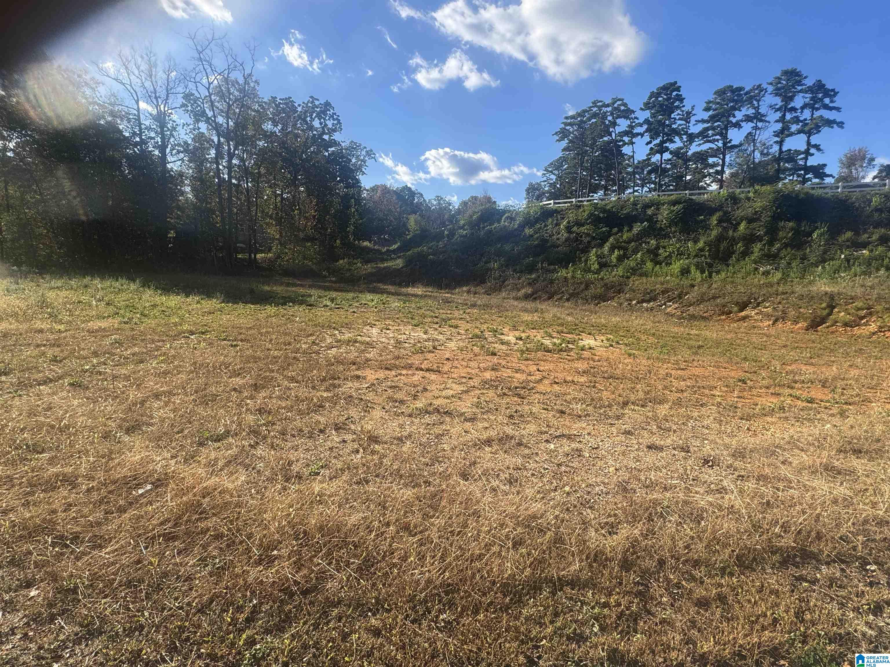 Homes for sale in Birmingham, AL | 1032 Martinwood Lane, Birmingham, AL 35235 | MLS# 21435846