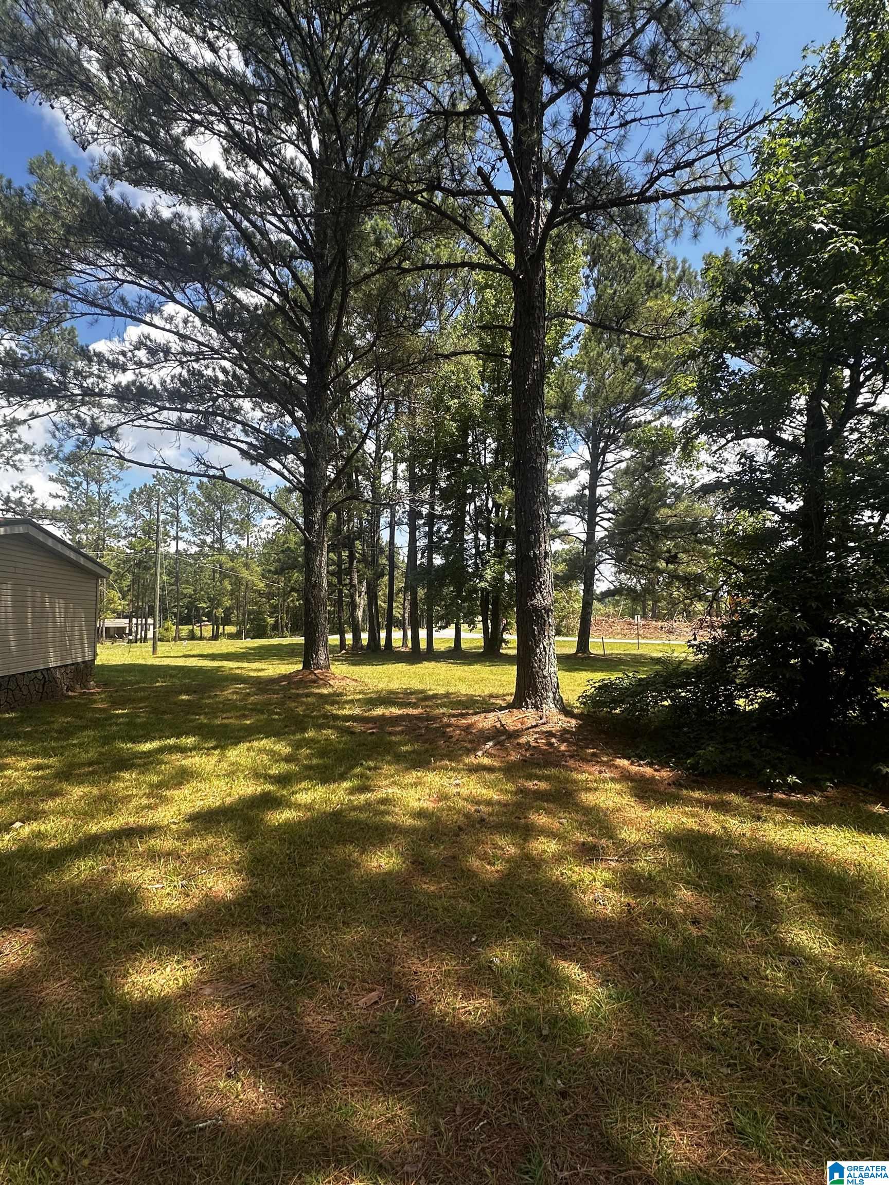 Homes for sale in Roanoke, AL | 2075 Louina Road, Roanoke, AL 36274 | MLS# 21435851