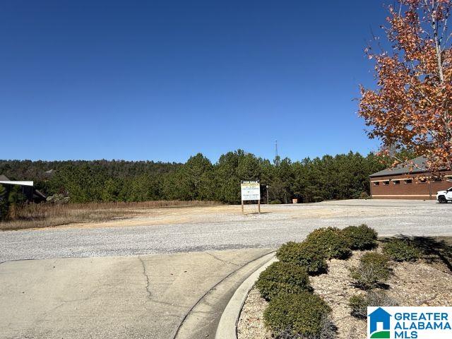 Homes for sale in Sterrett, AL | 308 Foothills Pl, Sterrett, AL 35147 | MLS# 21435872