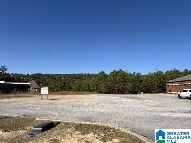 Homes for sale in Sterrett, AL | 308 Foothills Pl, Sterrett, AL 35147 | MLS# 21435872