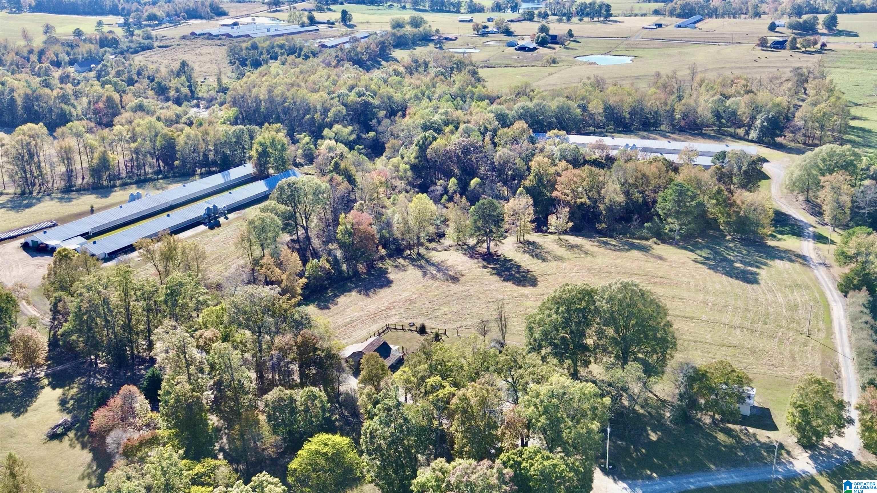 1373 & 1379 COUNTY ROAD 1669