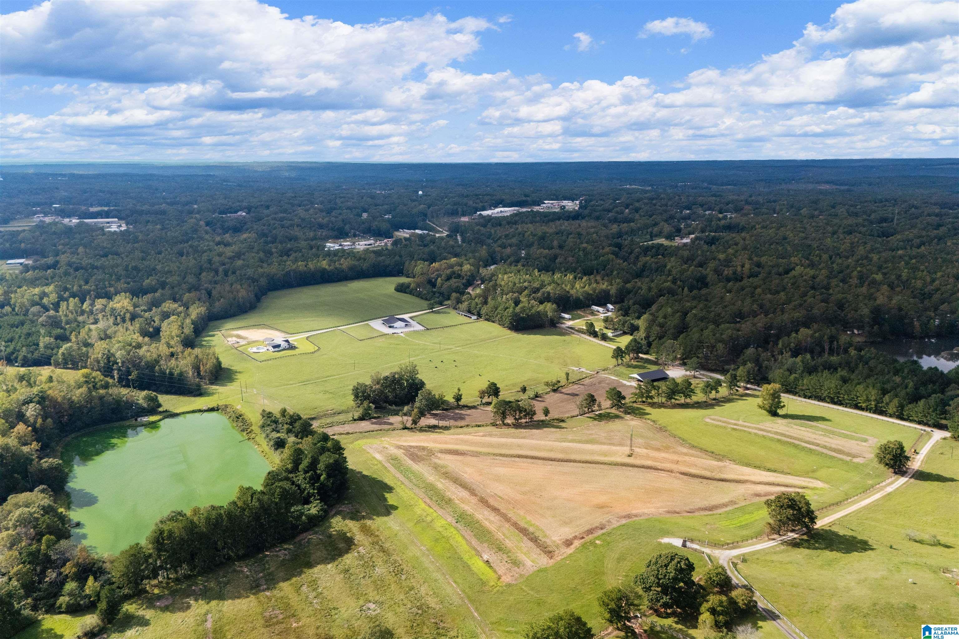 Homes for sale in Roanoke, AL | 470 Gilham Road, Roanoke, AL 36274 | MLS# 21435971