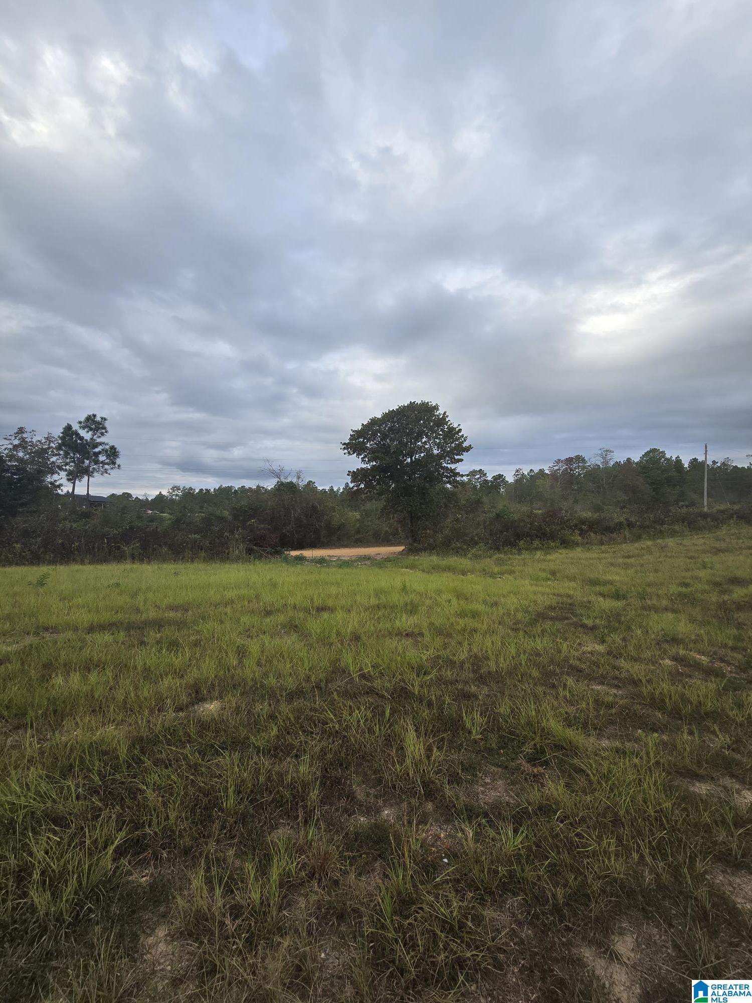 Homes for sale in Maplesville, AL | 1089 County Road 351, Maplesville, AL 36750 | MLS# 21435999