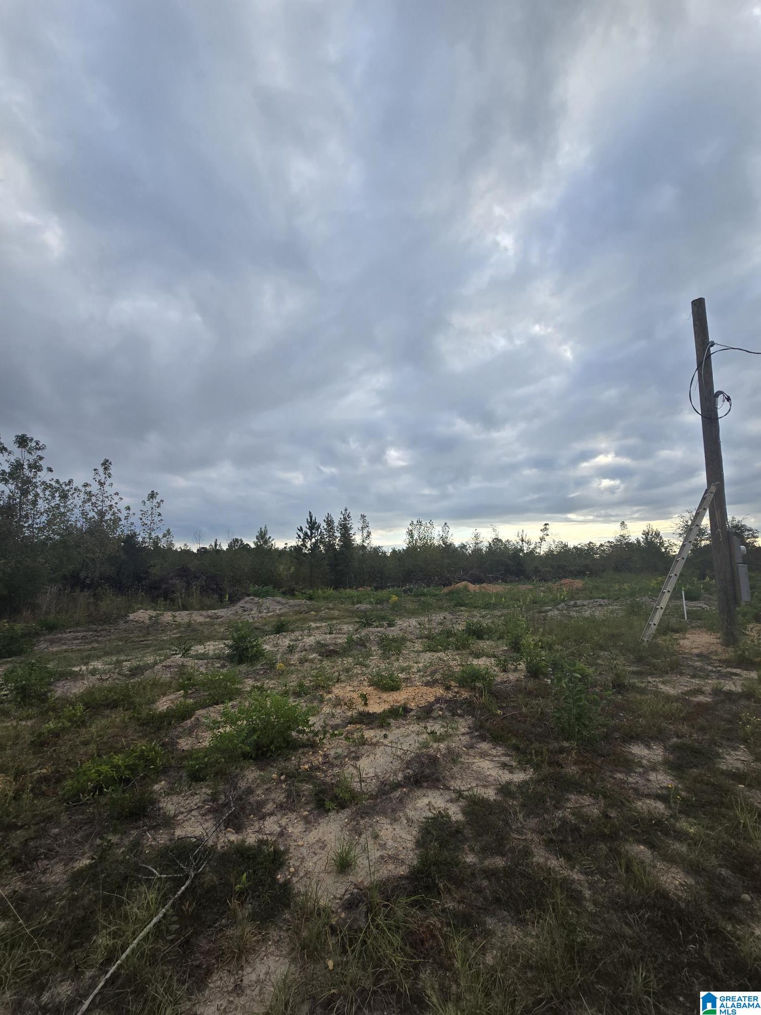 Homes for sale in Maplesville, AL | 1089 County Road 351, Maplesville, AL 36750 | MLS# 21435999