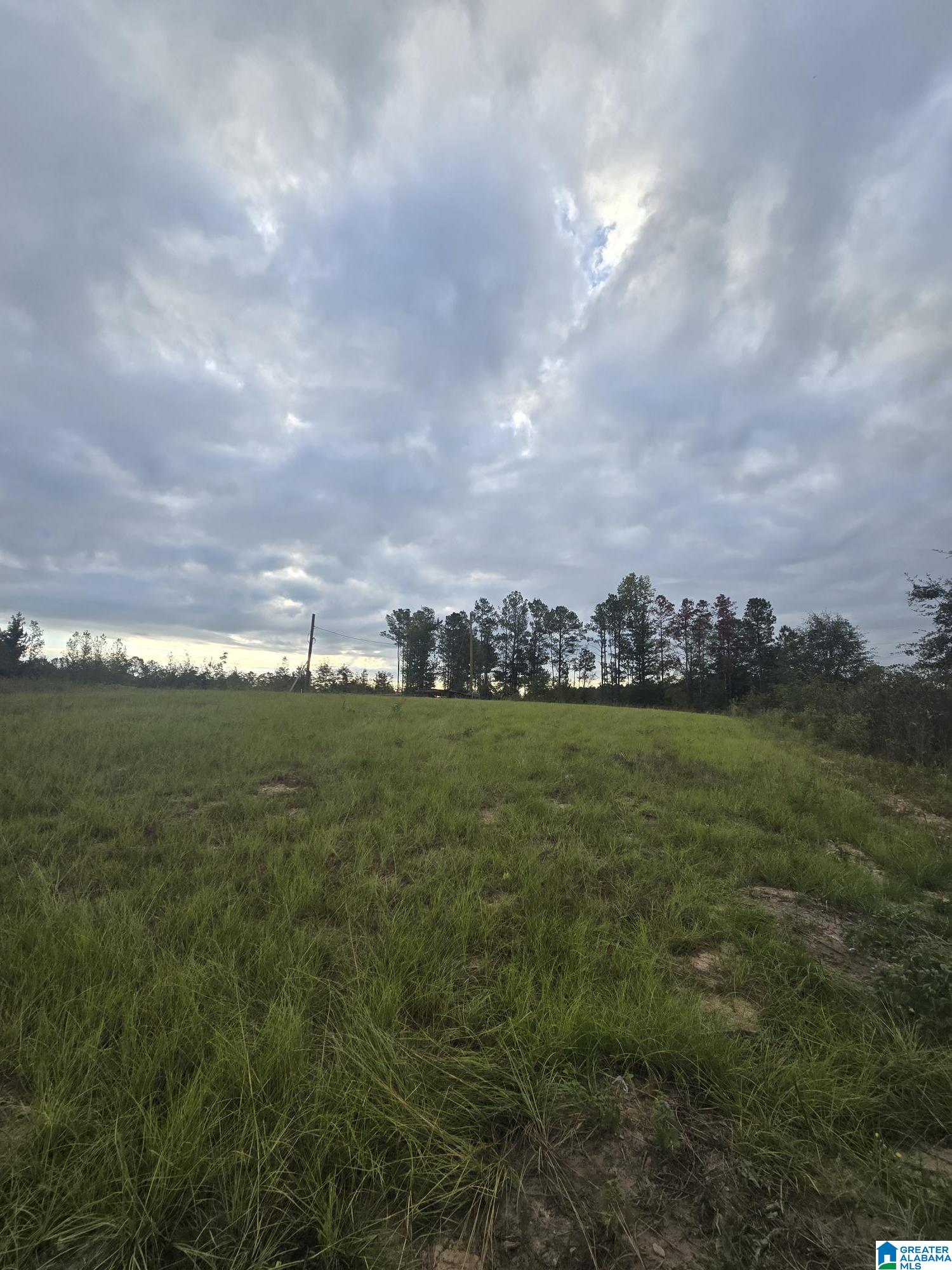 Homes for sale in Maplesville, AL | 1089 County Road 351, Maplesville, AL 36750 | MLS# 21435999