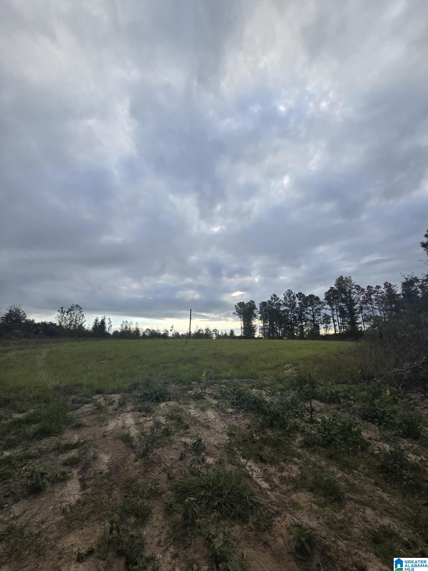 Homes for sale in Maplesville, AL | 1089 County Road 351, Maplesville, AL 36750 | MLS# 21435999