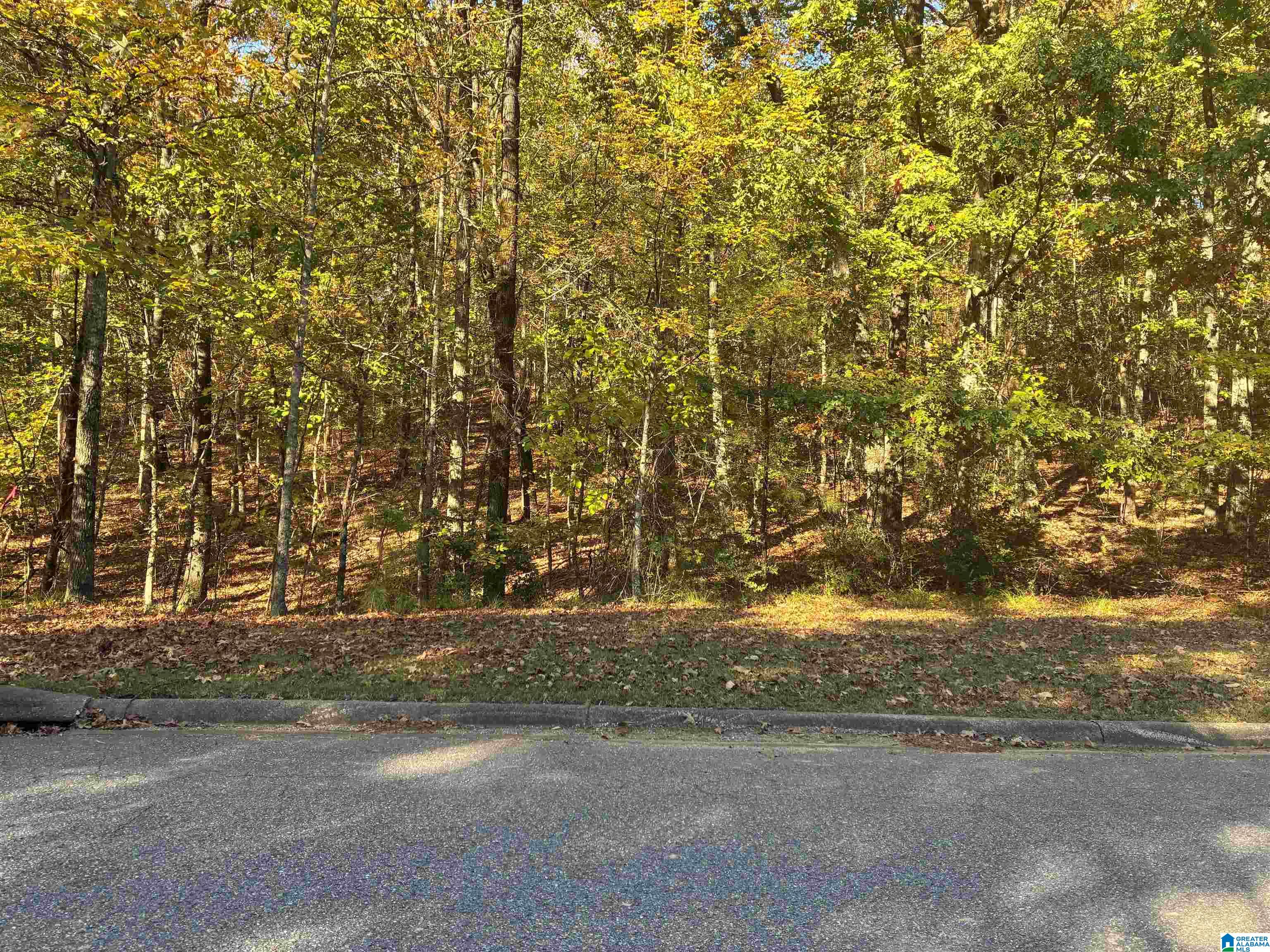125 HIGHLAND VIEW DRIVE