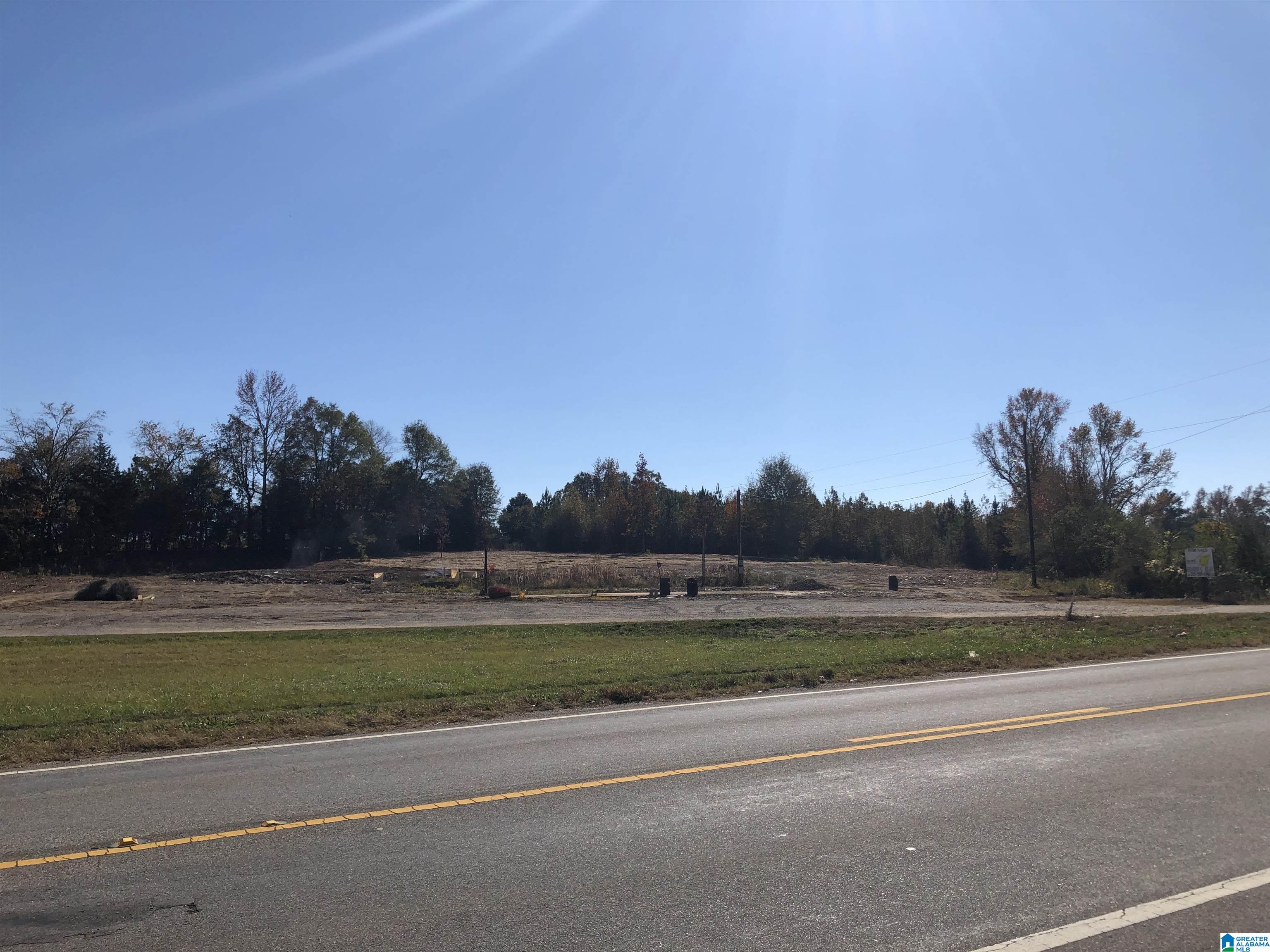 Homes for sale in Clanton, AL | 0 County Road 453, Clanton, AL 35046 | MLS# 21436194