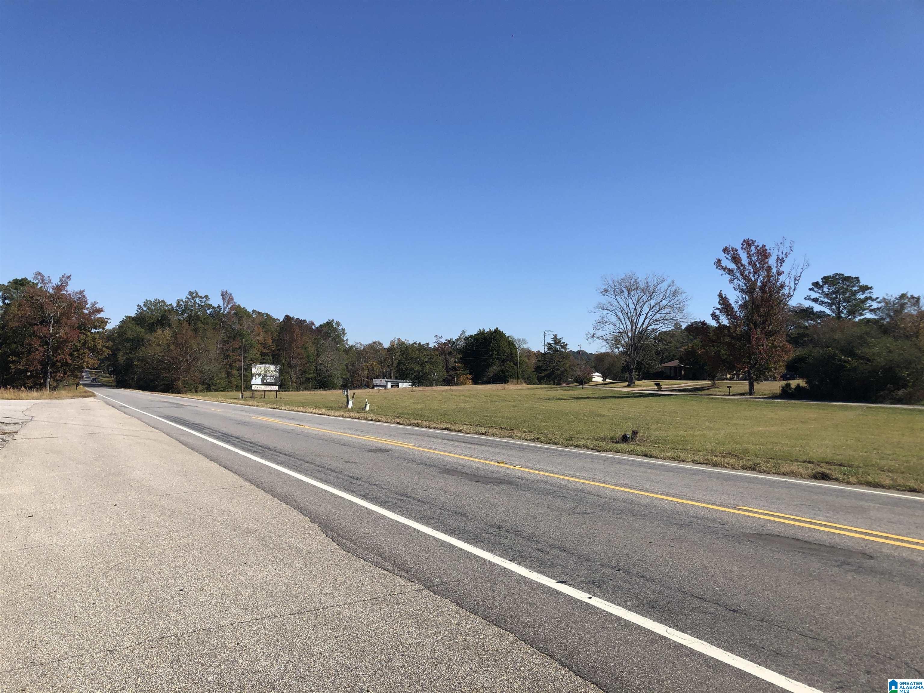 Homes for sale in Clanton, AL | 0 County Road 453, Clanton, AL 35046 | MLS# 21436194