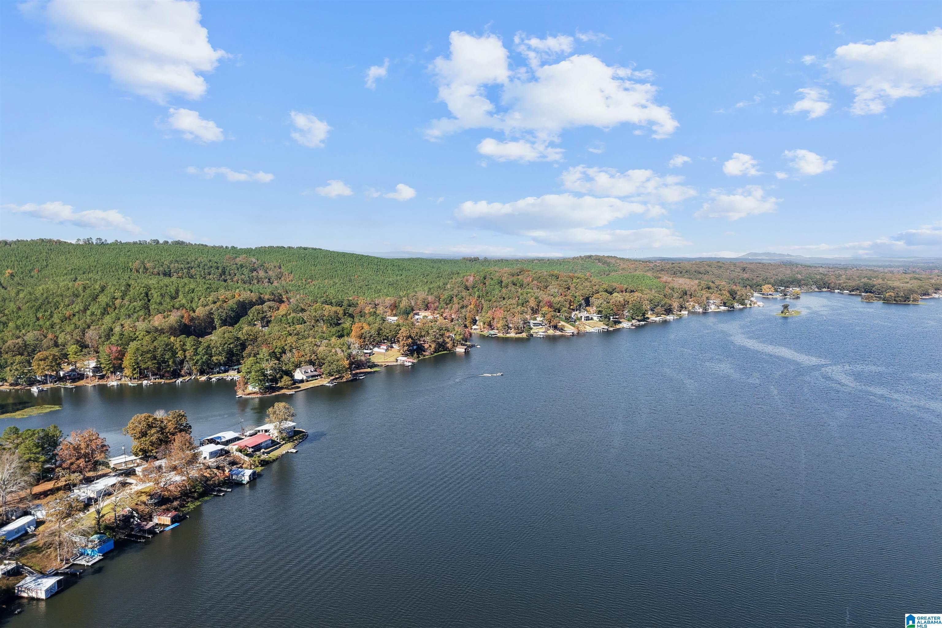 Homes for sale in Shelby, AL | 16870 Hwy 42, Shelby, AL 35143 | MLS# 21436267