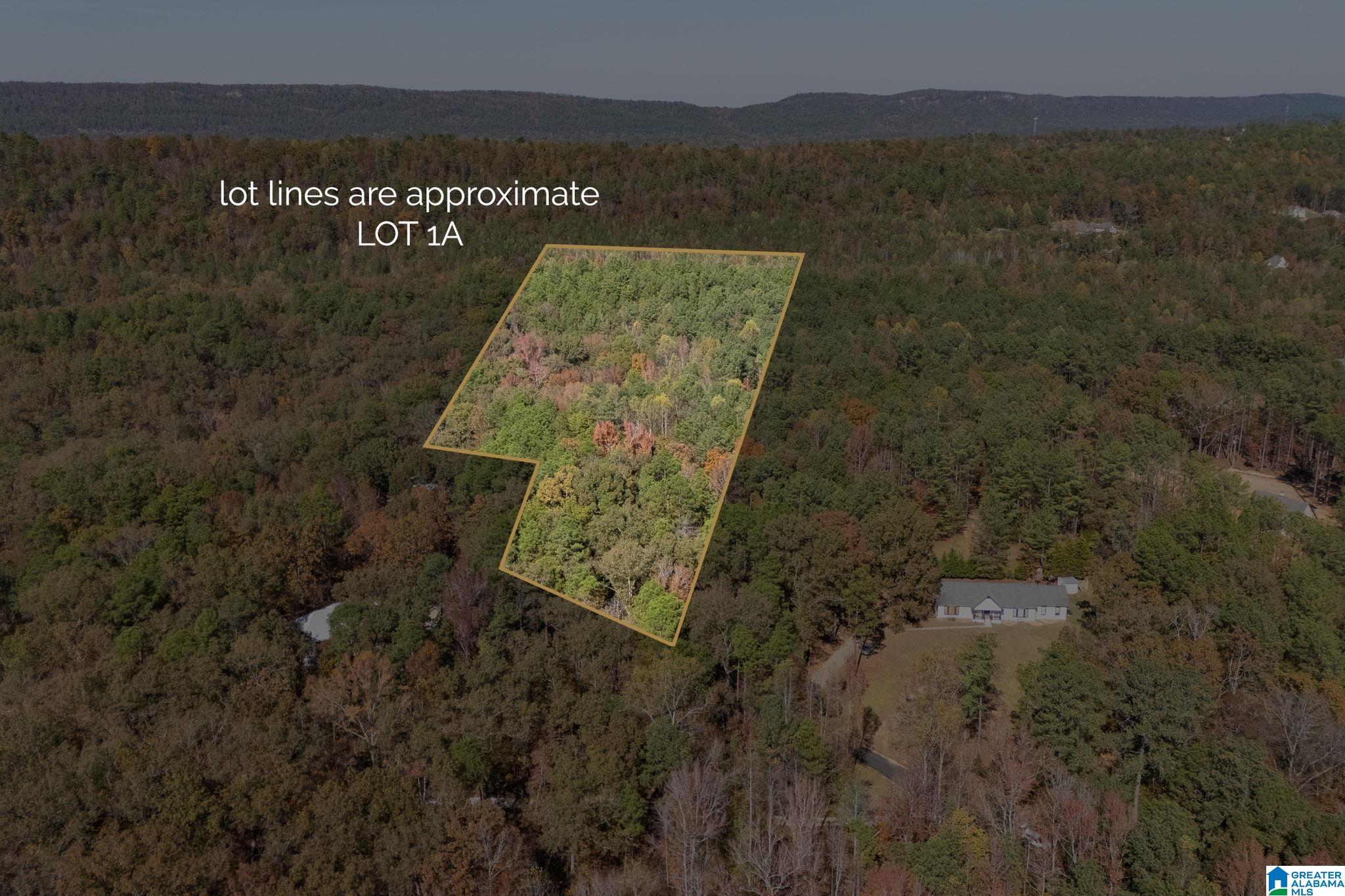 Homes for sale in Chelsea, AL | 284 Nichols Road, Chelsea, AL 35043 | MLS# 21436318