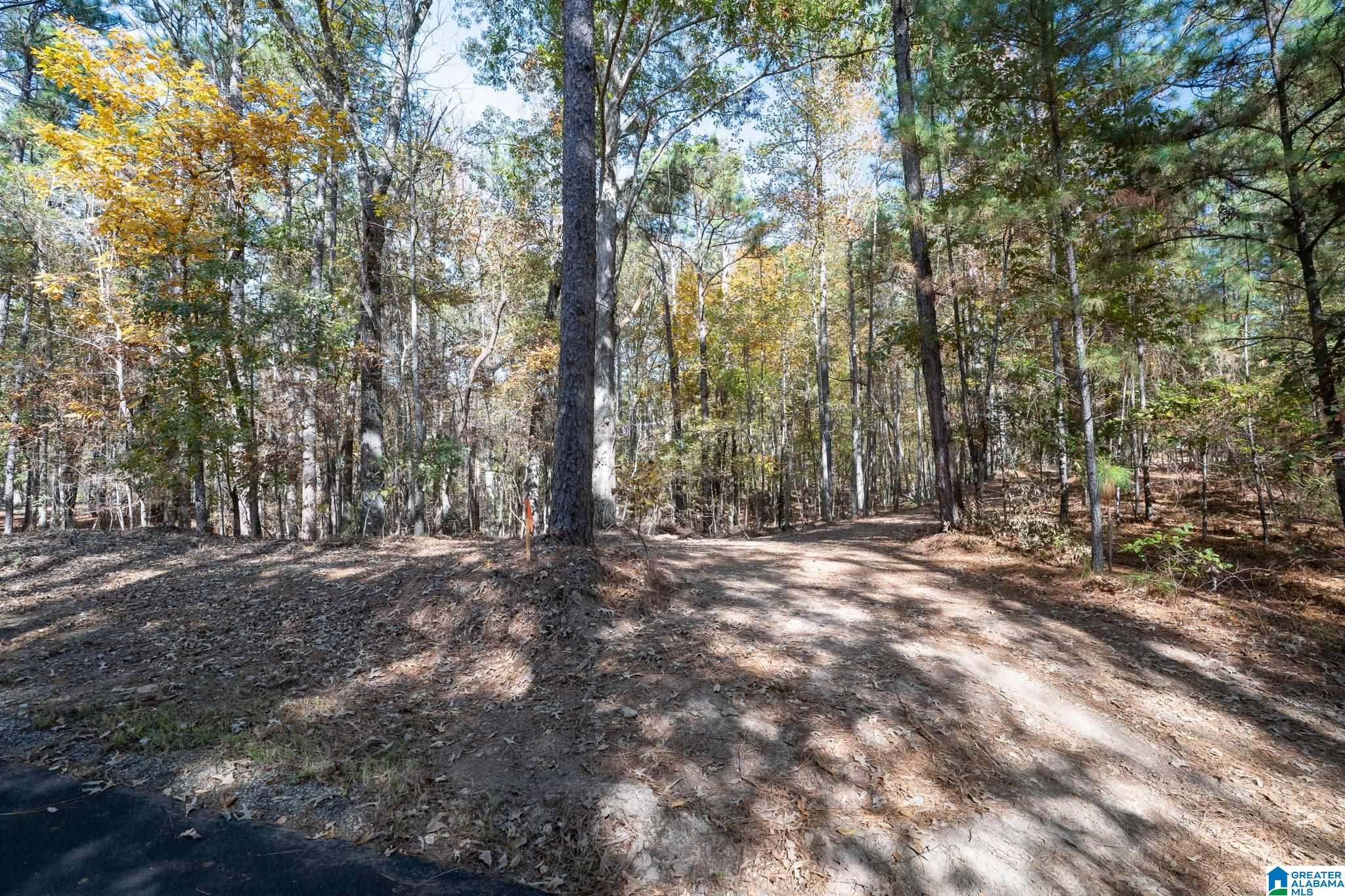 Homes for sale in Chelsea, AL | 284 Nichols Road, Chelsea, AL 35043 | MLS# 21436318