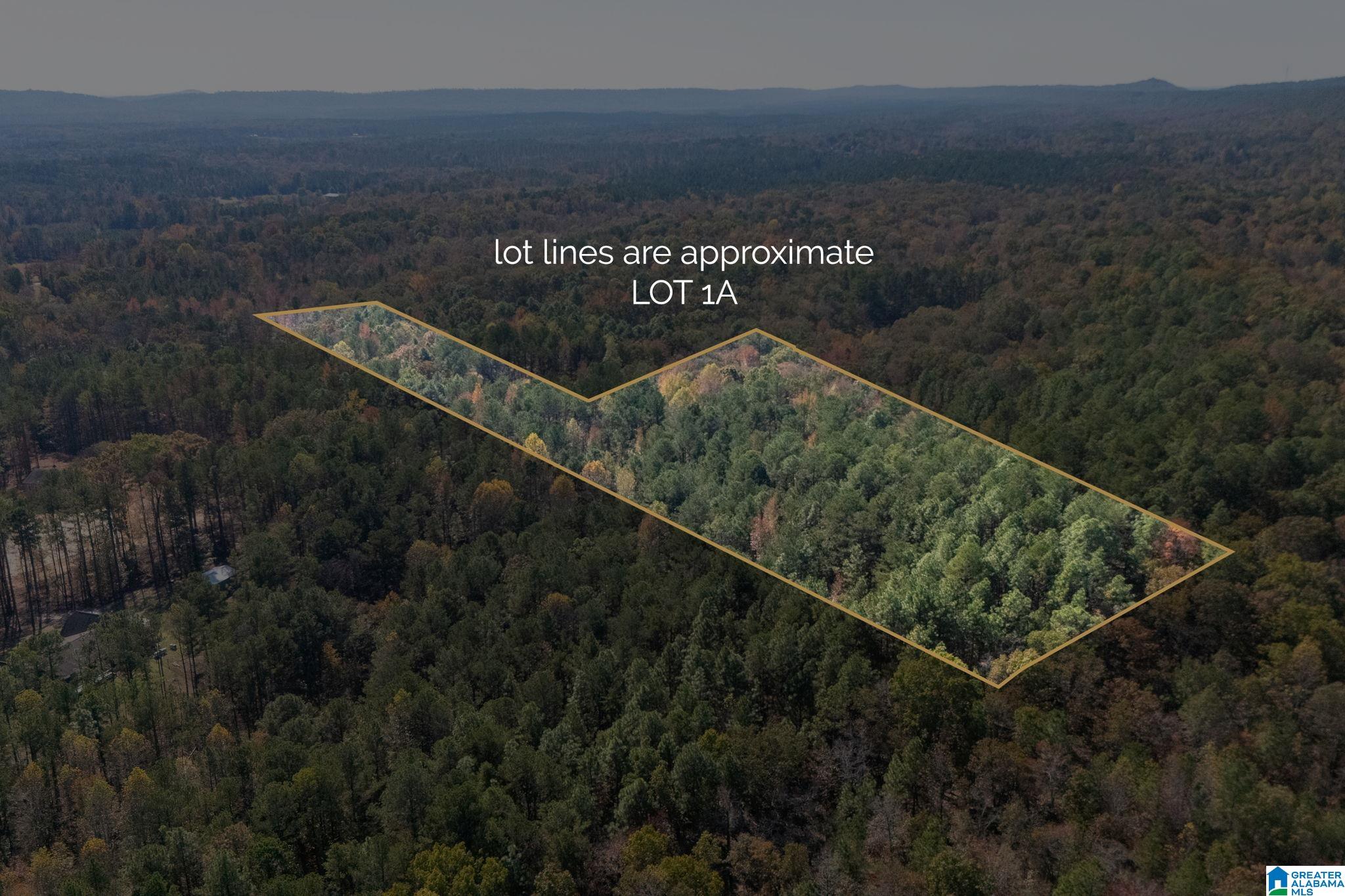 Homes for sale in Chelsea, AL | 284 Nichols Road, Chelsea, AL 35043 | MLS# 21436318