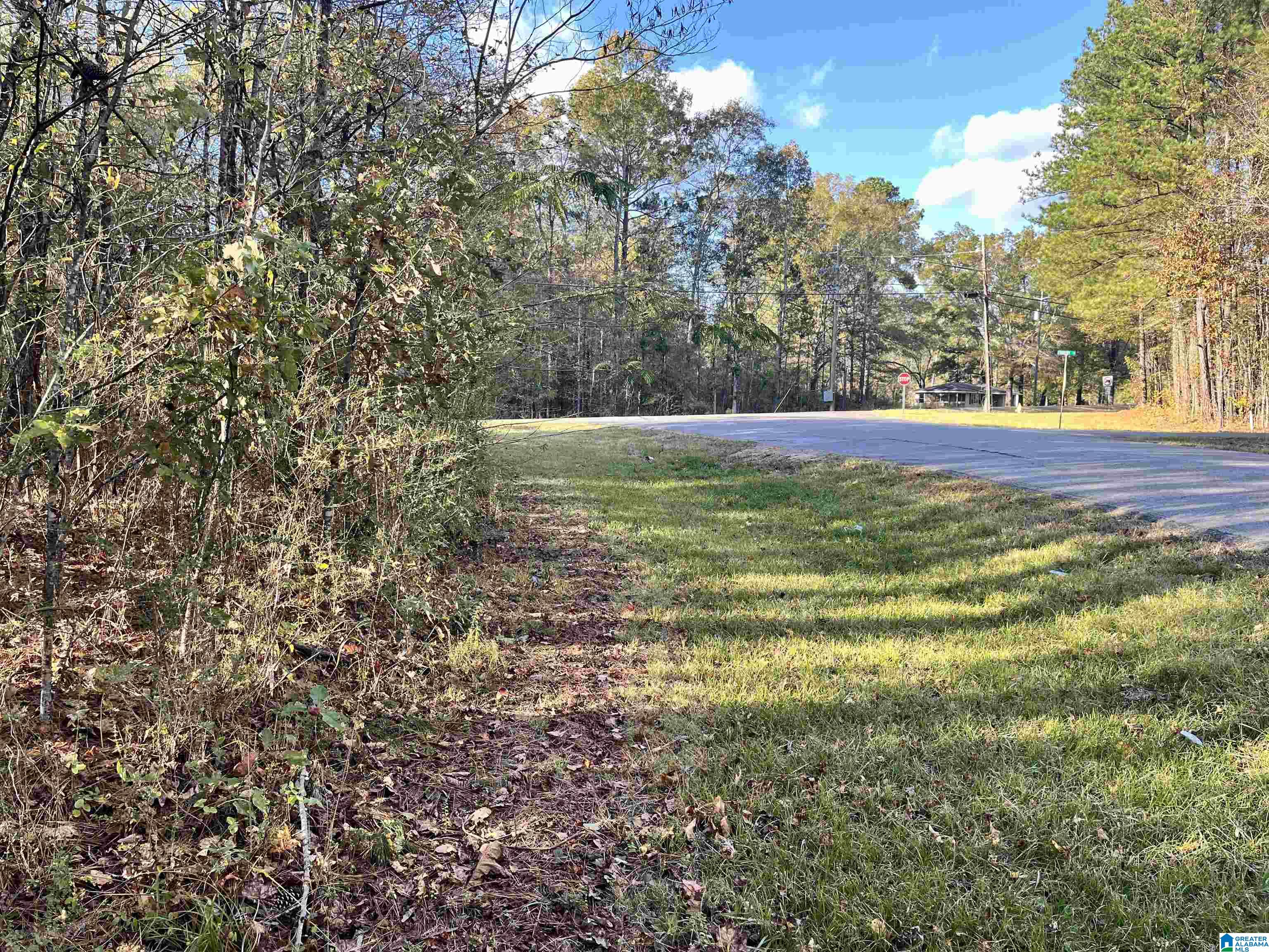 Homes for sale in Pell City, AL | 0 Old Coal City Road, Pell City, AL 35125 | MLS# 21436435