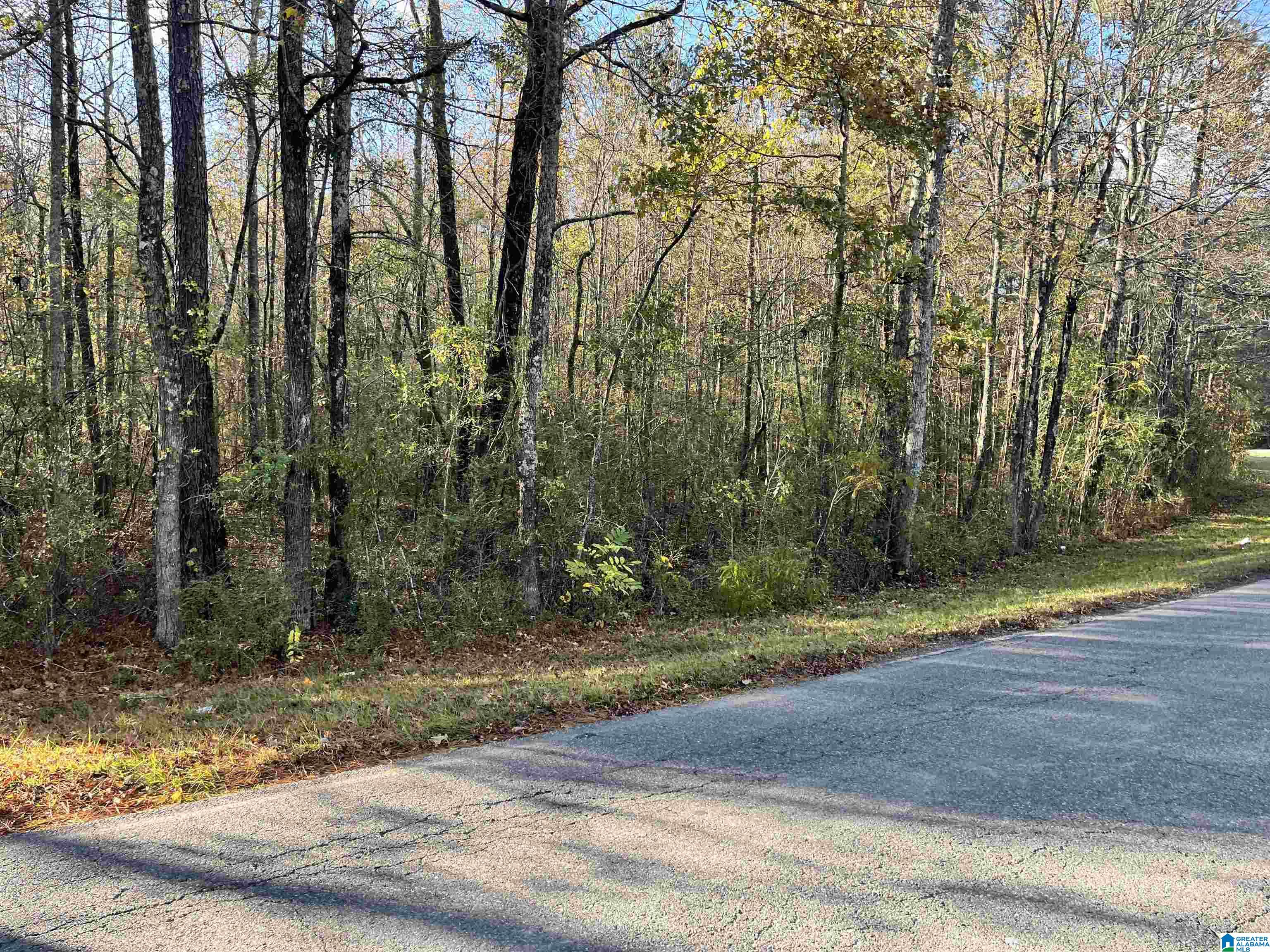 Homes for sale in Pell City, AL | 0 Old Coal City Road, Pell City, AL 35125 | MLS# 21436435