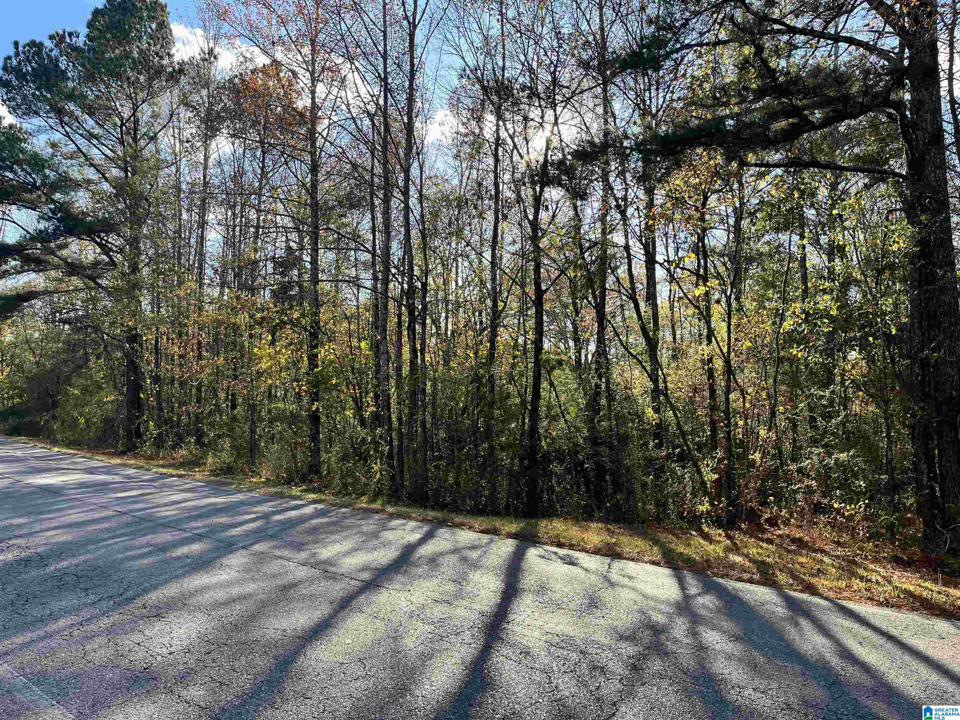 Homes for sale in Pell City, AL | 0 Old Coal City Road, Pell City, AL 35125 | MLS# 21436435