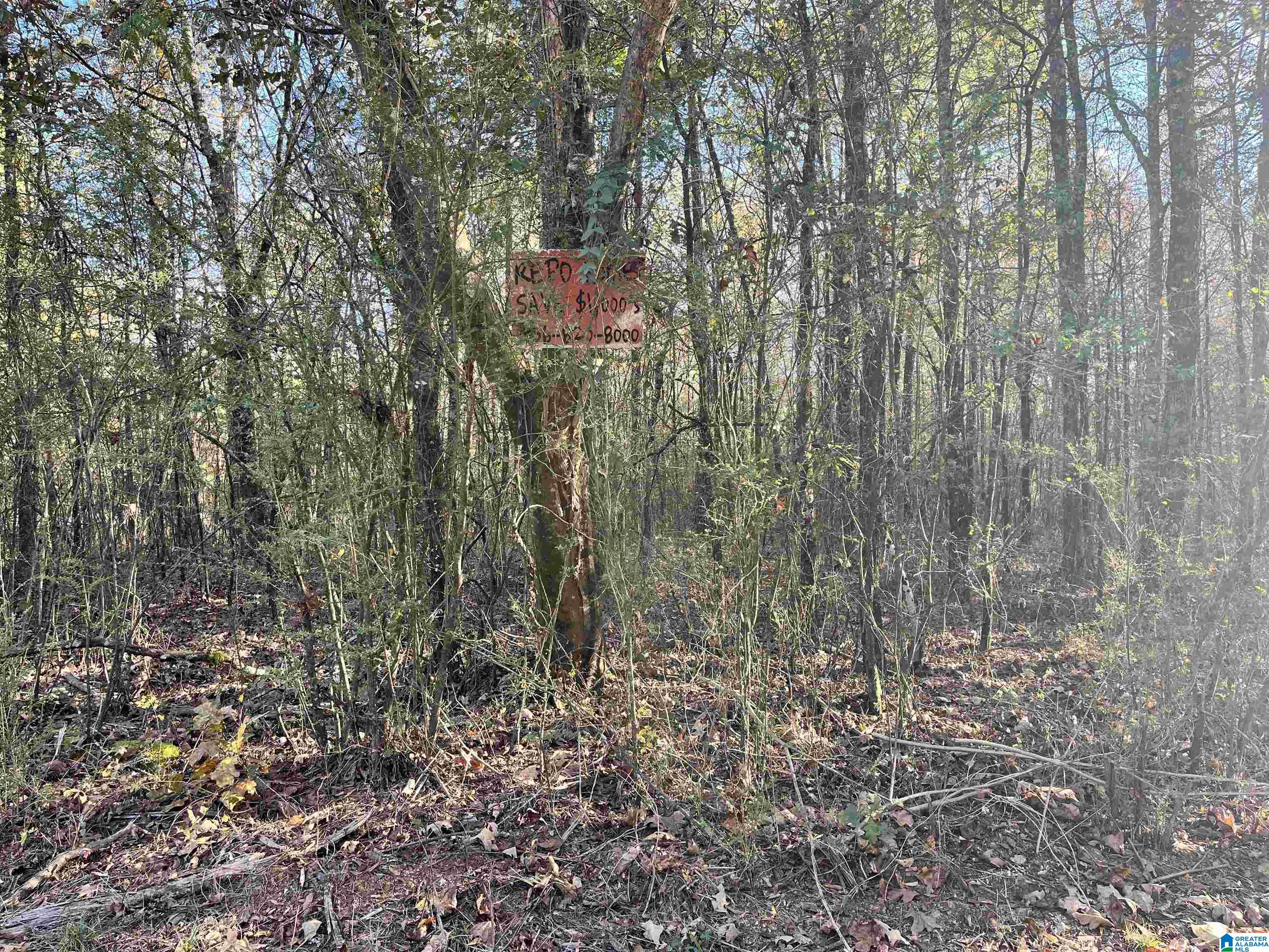 Homes for sale in Pell City, AL | 0 Old Coal City Road, Pell City, AL 35125 | MLS# 21436435