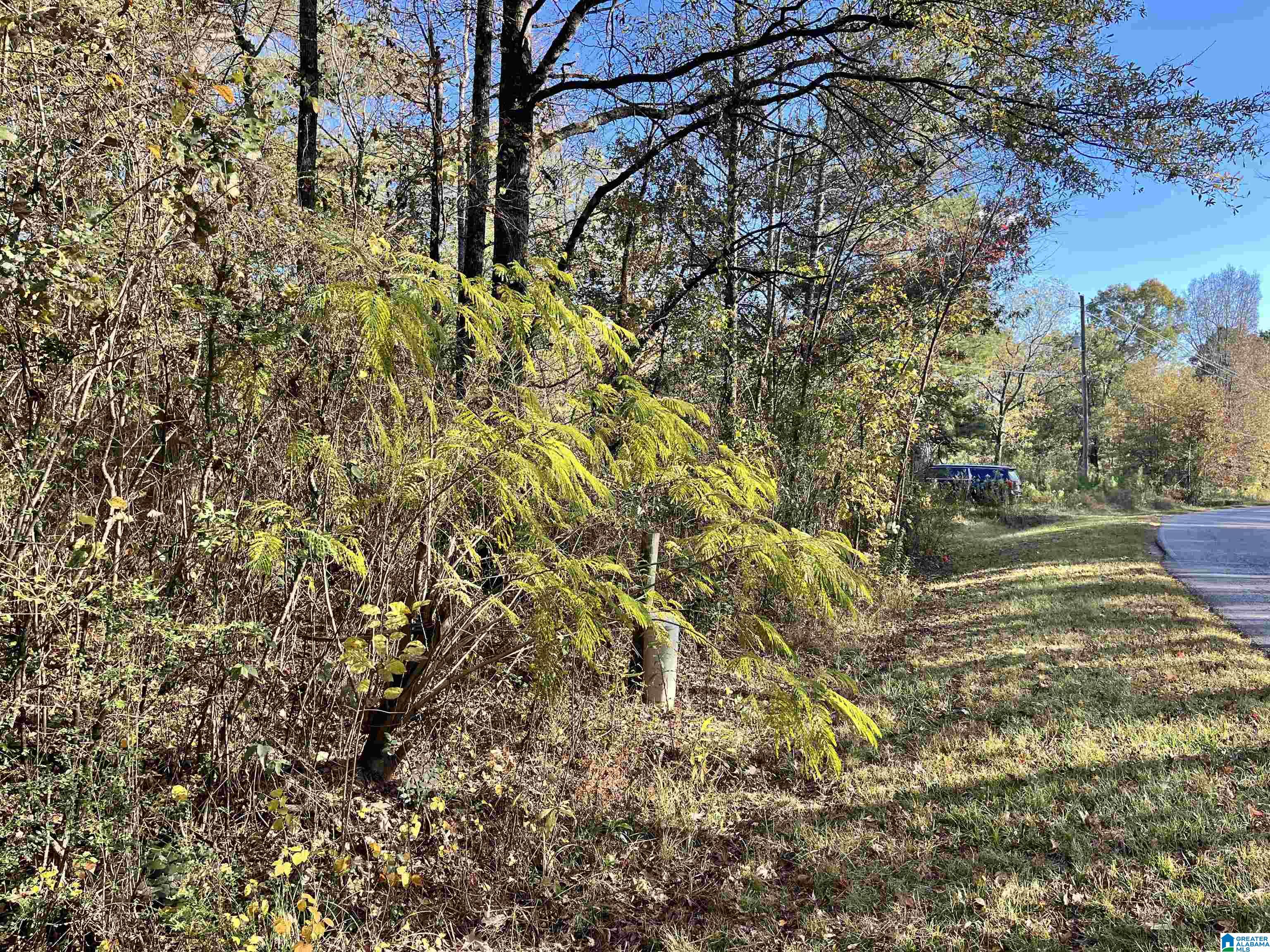 Homes for sale in Pell City, AL | 0 Old Coal City Road, Pell City, AL 35125 | MLS# 21436435