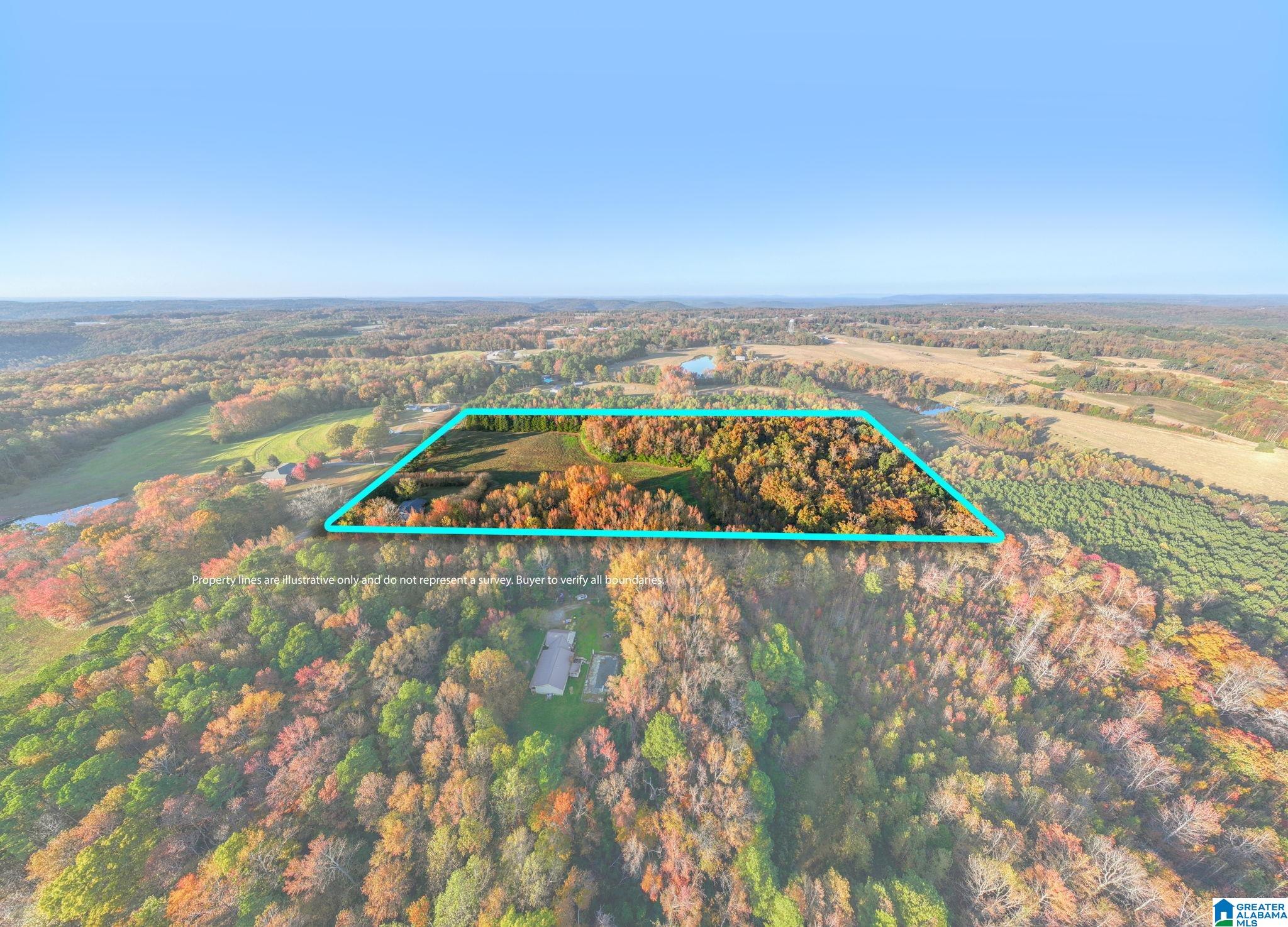 Homes for sale in Falkville, AL | 2986 Eva Road, Falkville, AL 35622 | MLS# 21436449
